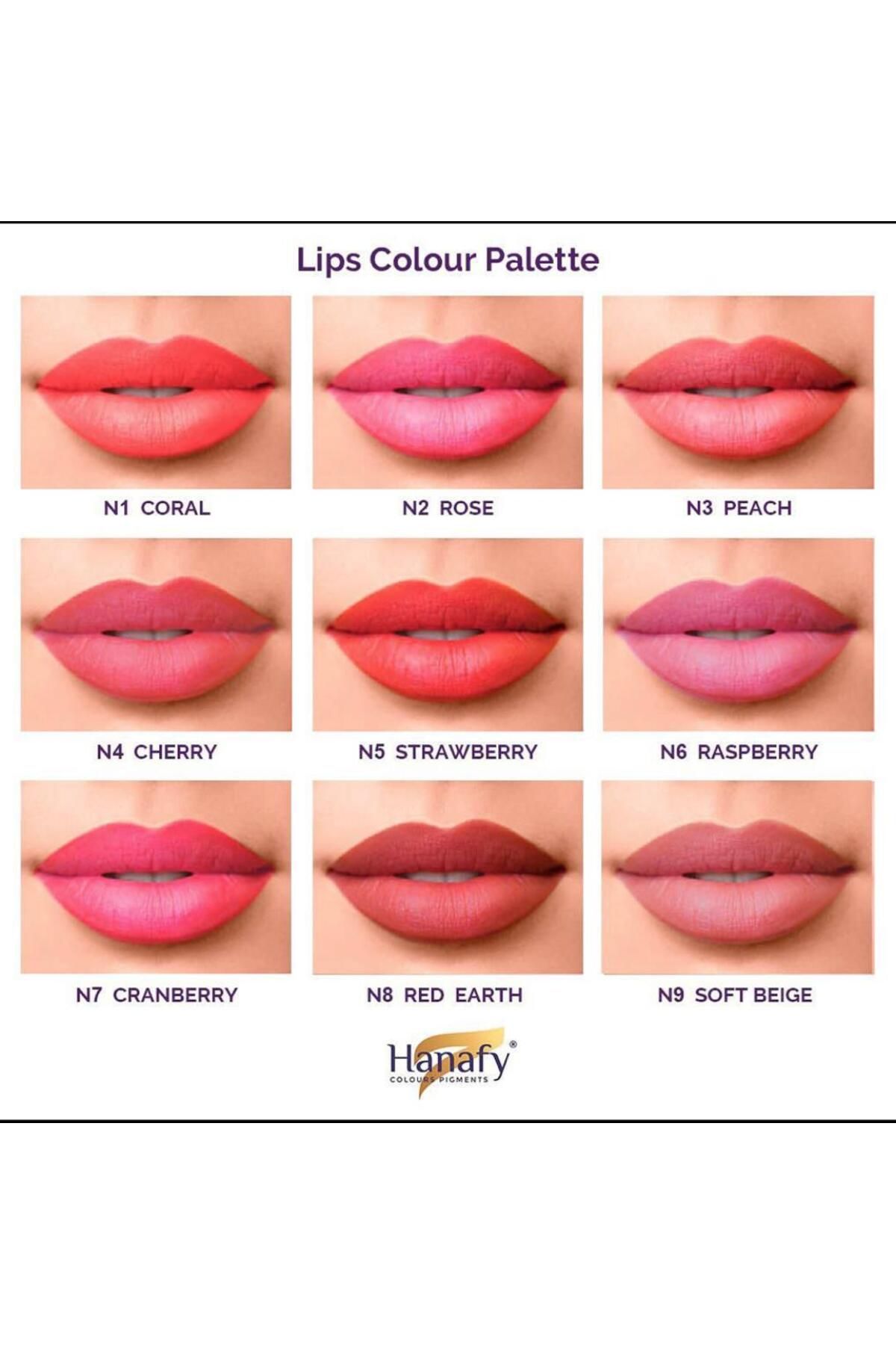 HANAFY-Permanent Makeup Pigments American Pigment Hanafy Pigment with Russian Origin 3ml 3