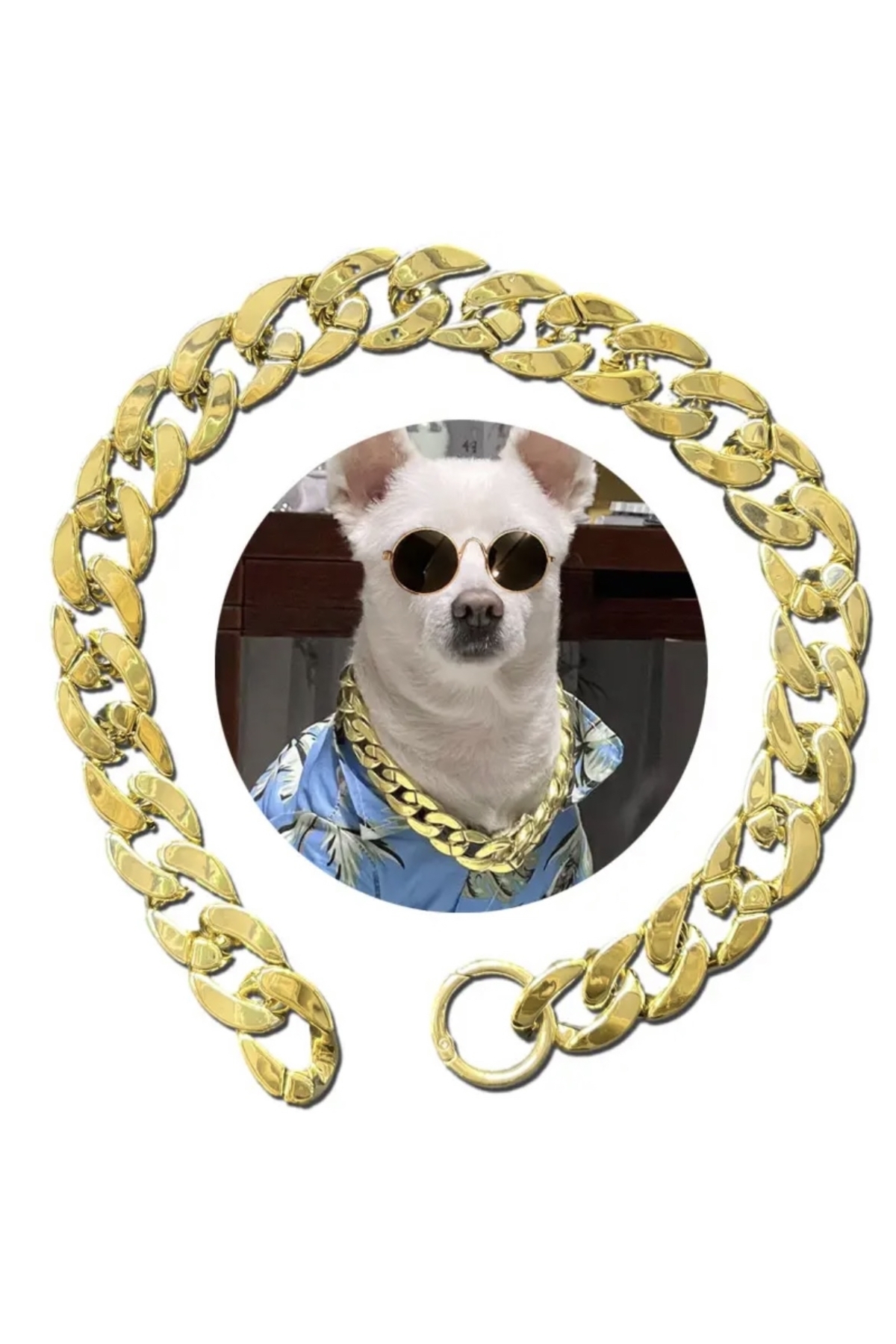 İsmet toka 40 CM Köpek Tasması Zincir Altın (Kararmaz) - Metal Aksesuar