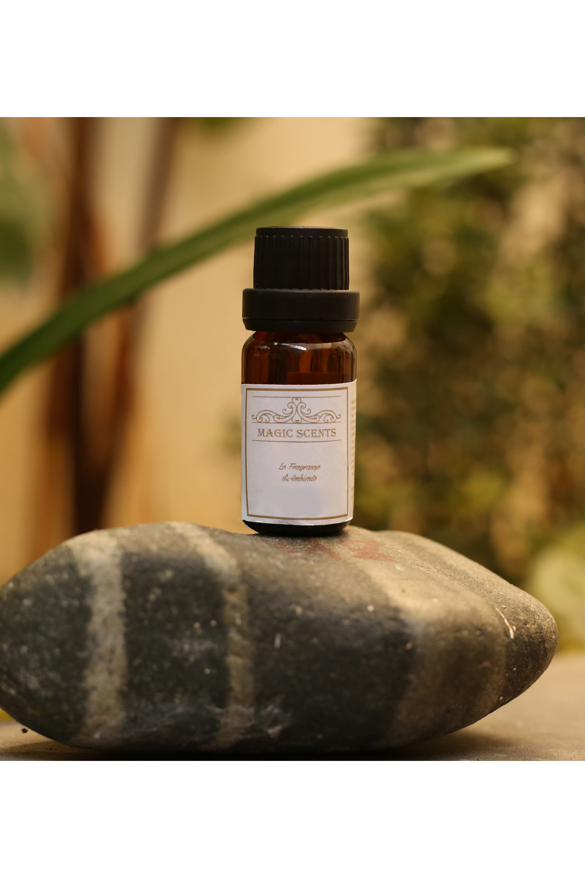 Essential Frankincense Oil Censer Essence Room Fragrance Essential 10 ml