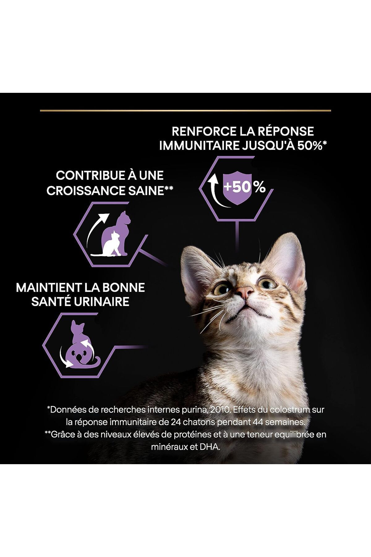 Pro plan kitten 10kg best sale