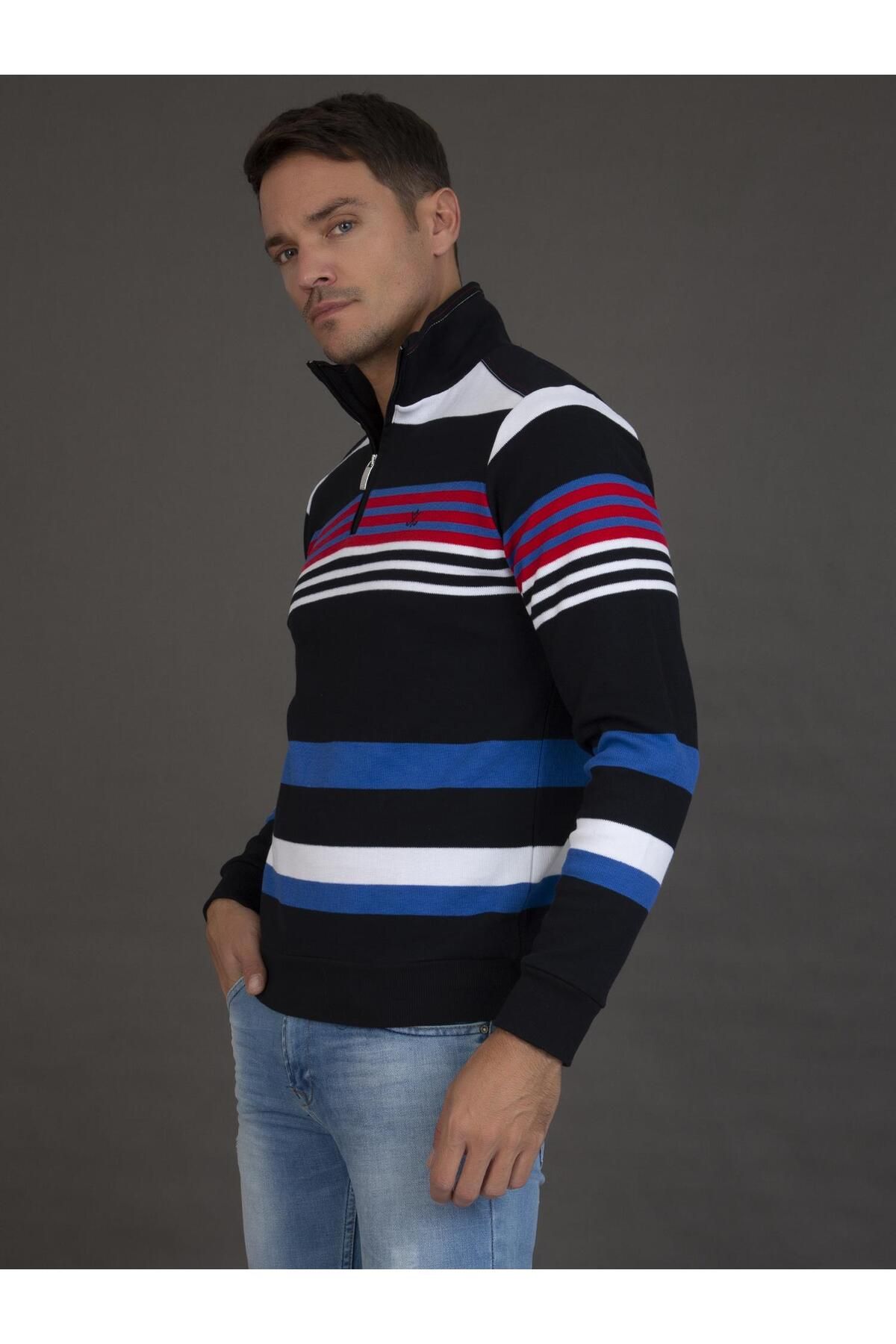 Sir raymond on sale tailor pullover