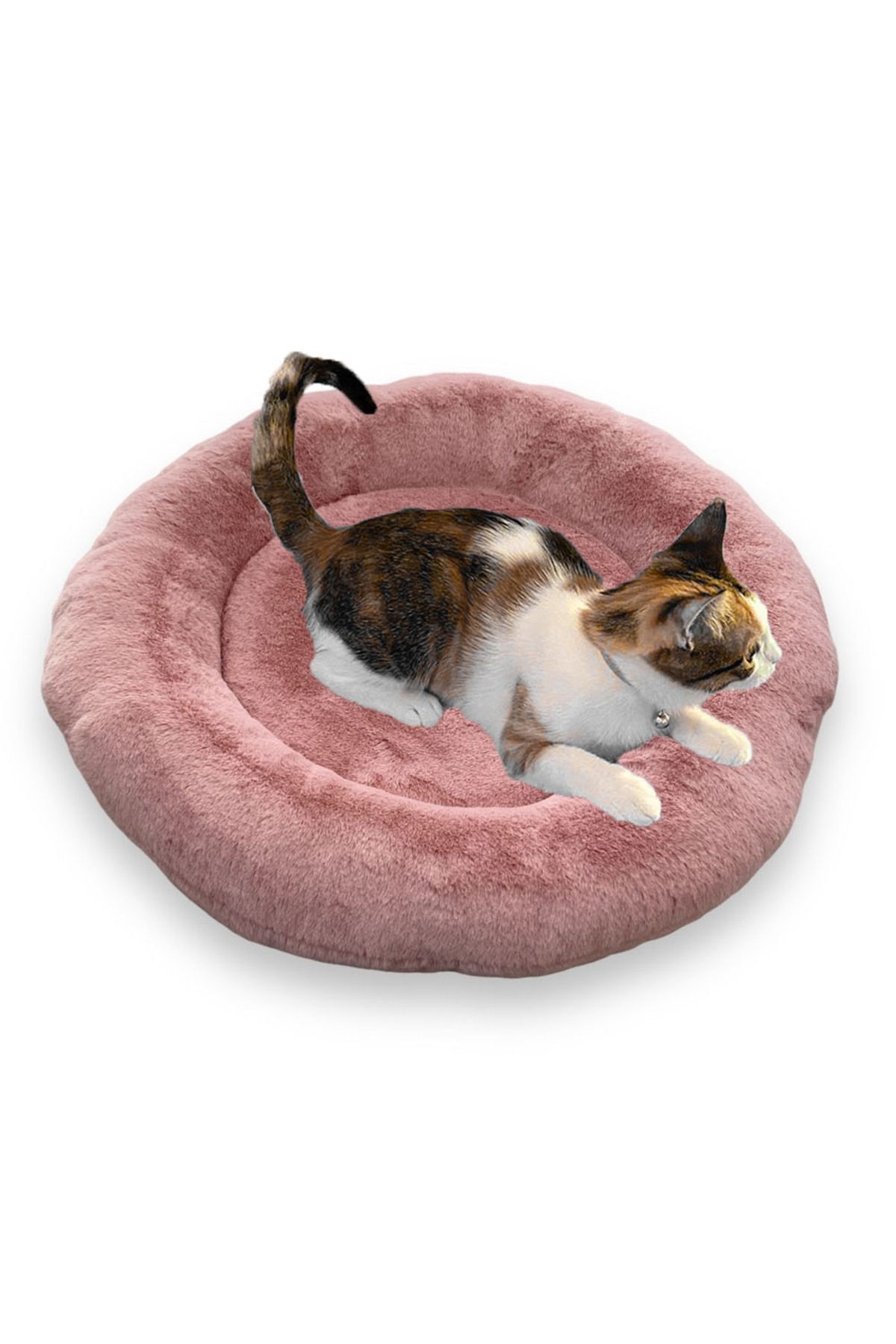 Pet sale bed cat