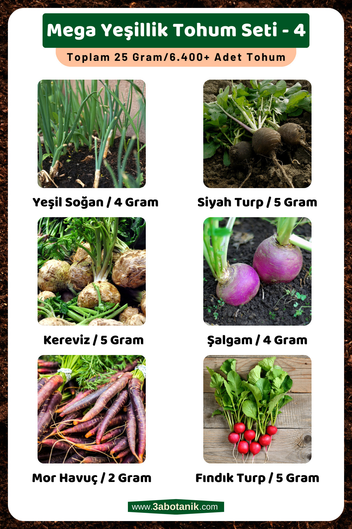 Mega Foliage Seed Set - 4, Total 25 Grams/6,400 Foliage Seeds
