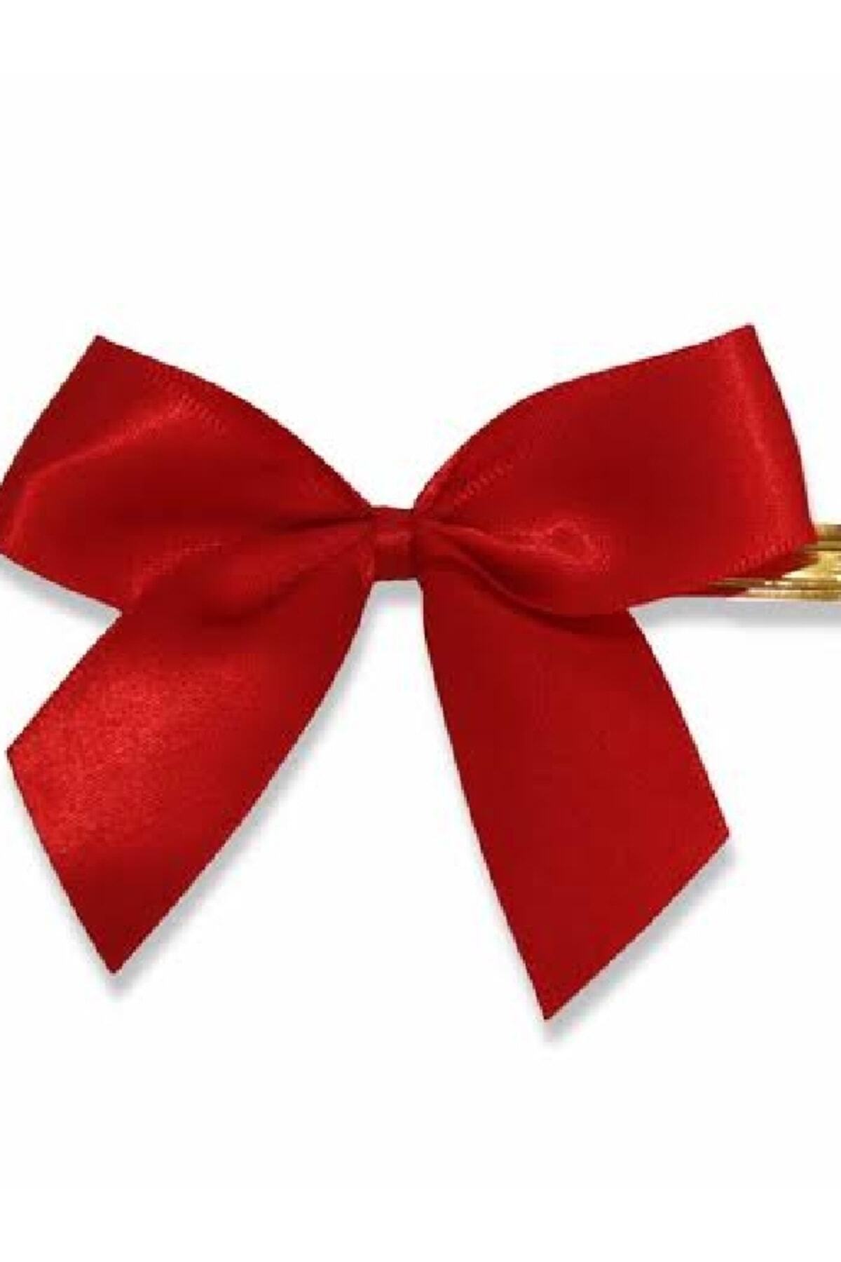 Reading Feast Ribbon Thick Ribbon with 50 Red Catal Needles