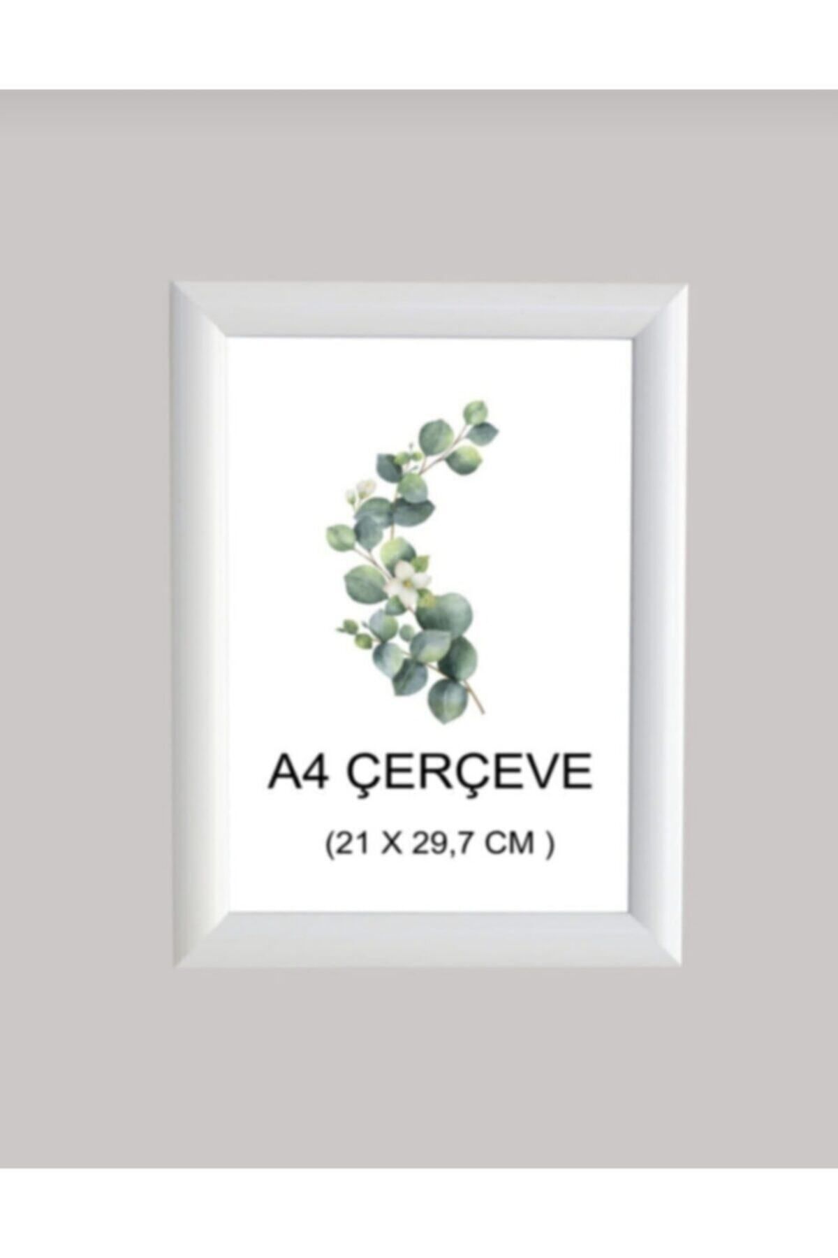 AS TİCARET-3 A4 Size Document Photo Frames 1