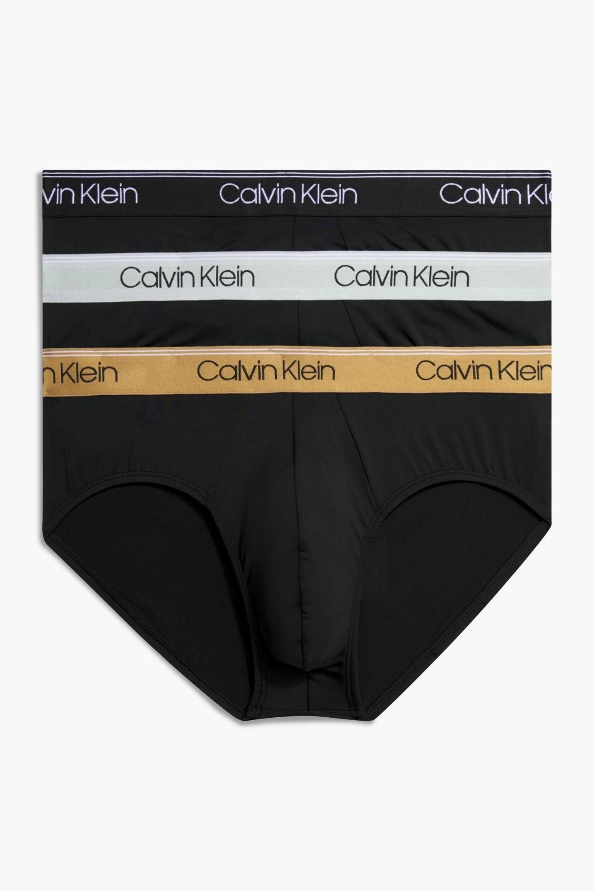 Hip brief calvin klein hot sale