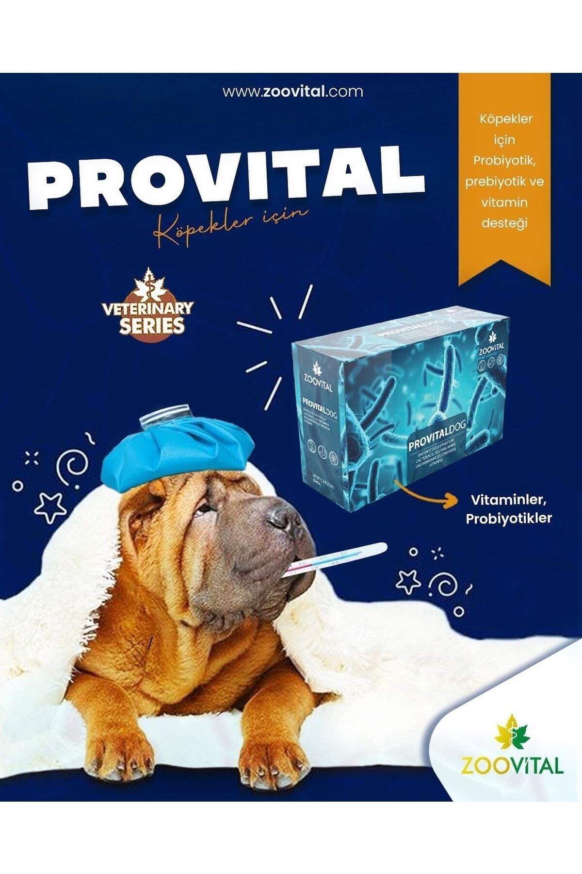 Petvitalitypro outlet