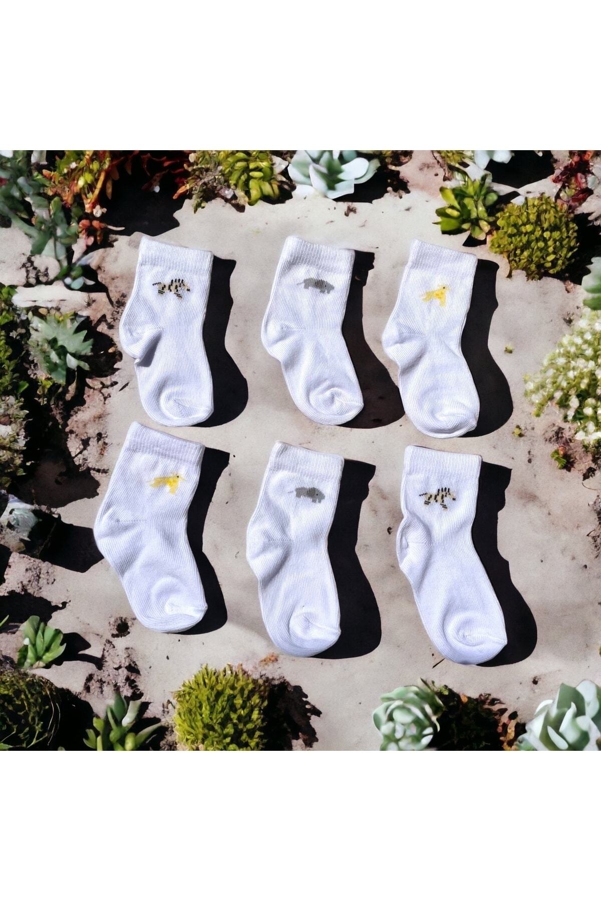 6-PACK BABY SOCKS SET