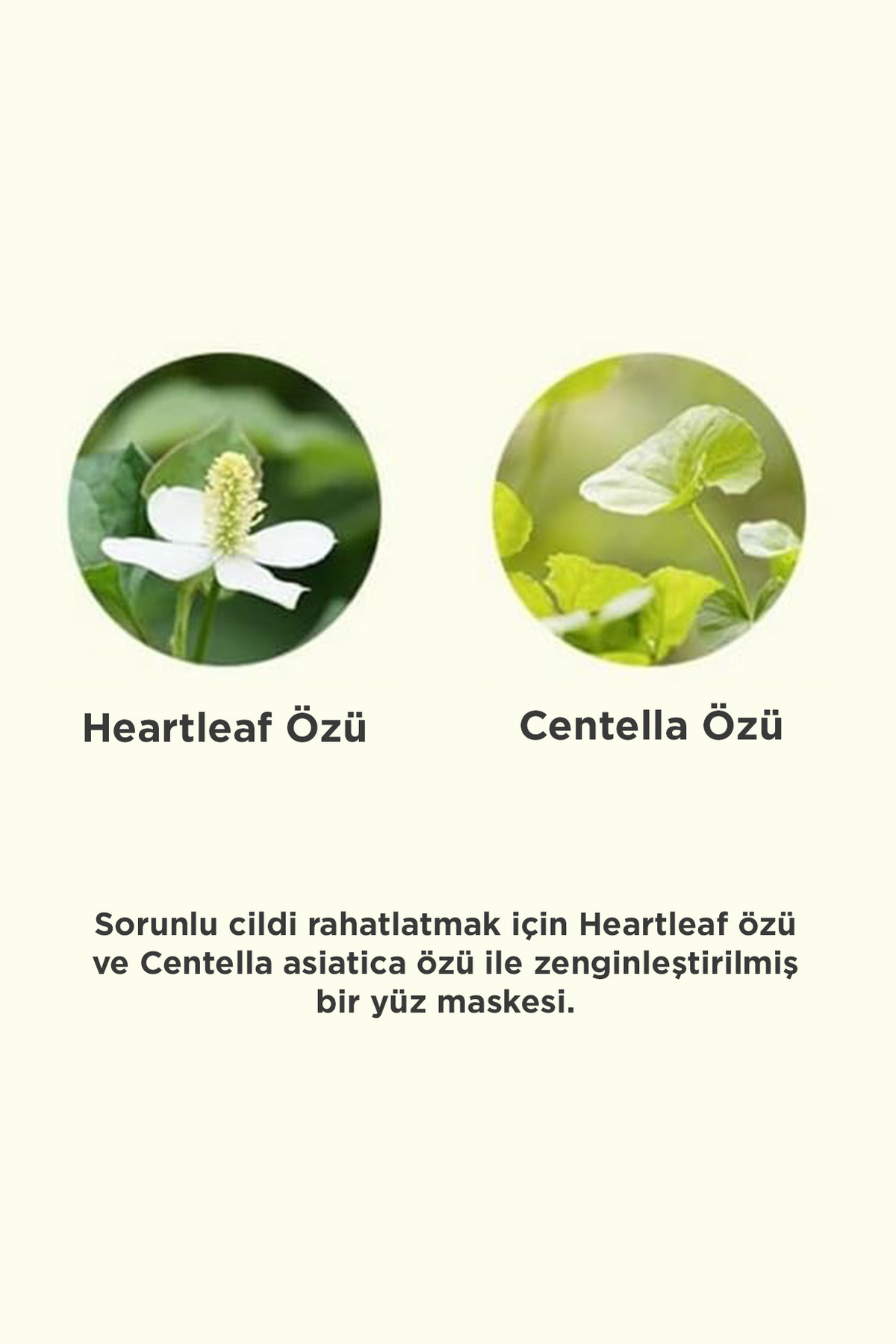 ماسک صورت   Hanskin | 5liampoulemask اورجینال - تصویر 5
