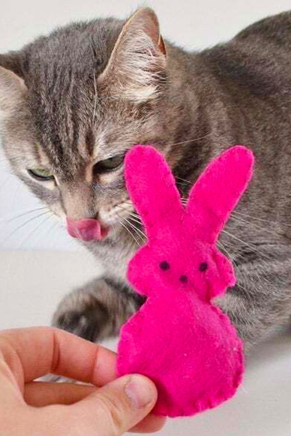 İnşirah Concept-Cat Mint Catnip Cat Toy Felt mouse Toy Mouse Game for Cats 7