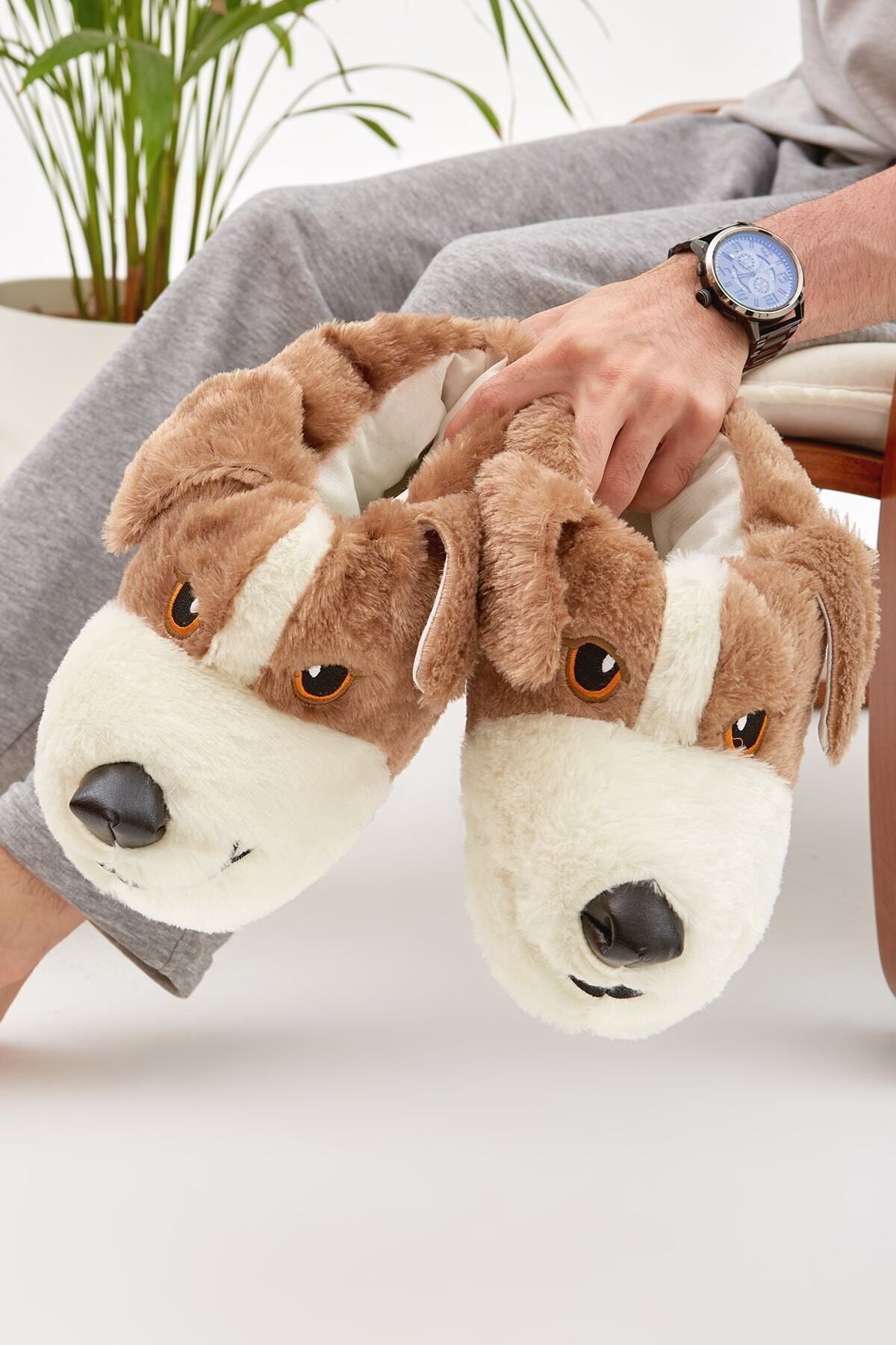 Saint bernard 2024 slippers