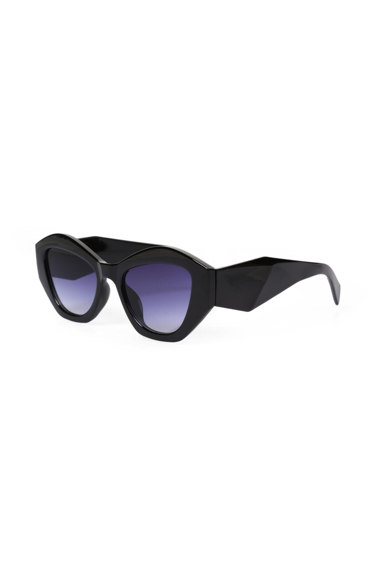 عینک آفتابی مردانه | انجل آیز Angel Eyes PR-8803C1 - تصویر 3