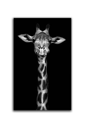 Siyah Beyaz Zebra Tablo 669 - 70x100 SLTN-00670