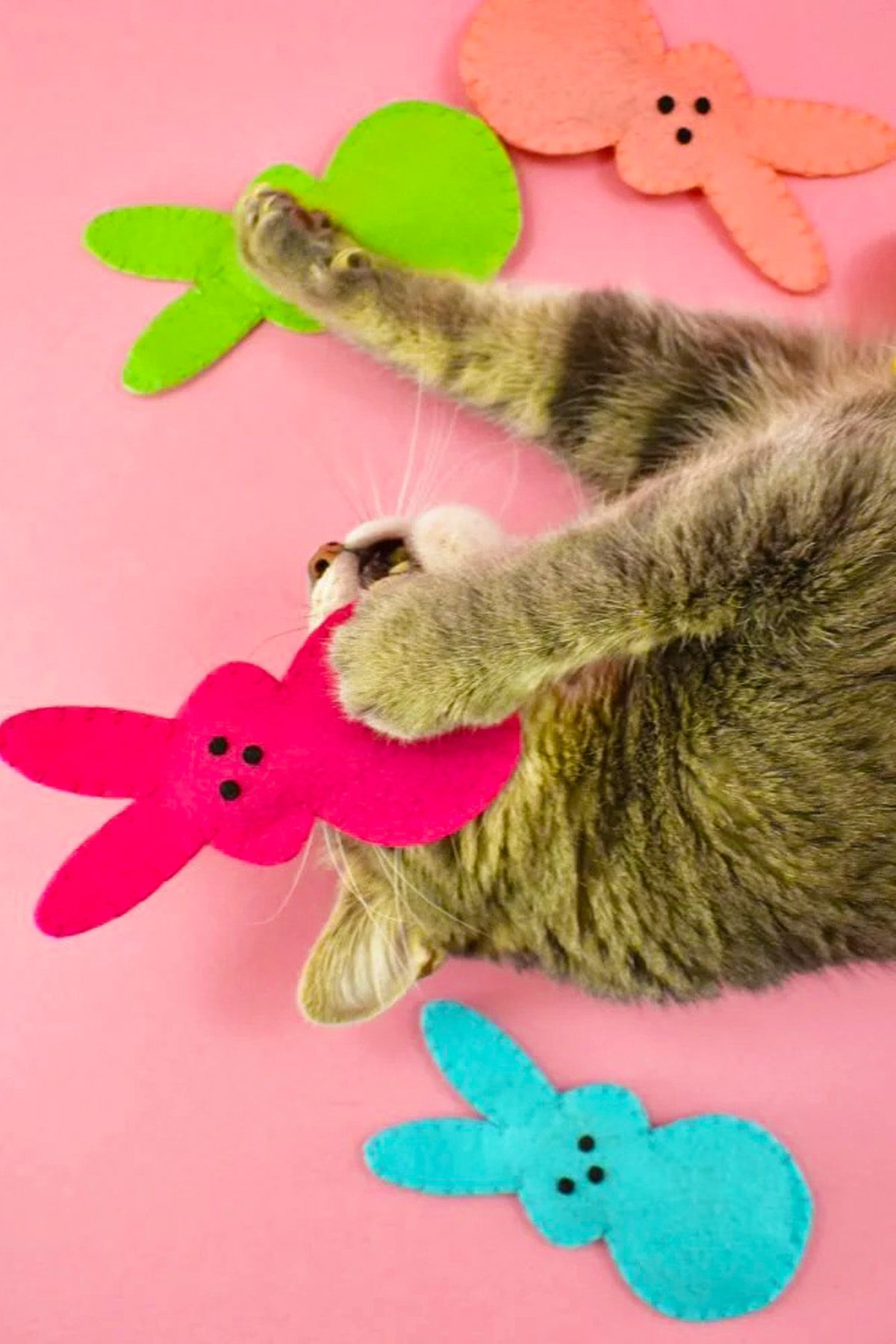 İnşirah Concept-Cat Mint Catnip Cat Toy Felt mouse Toy Mouse Game for Cats 2