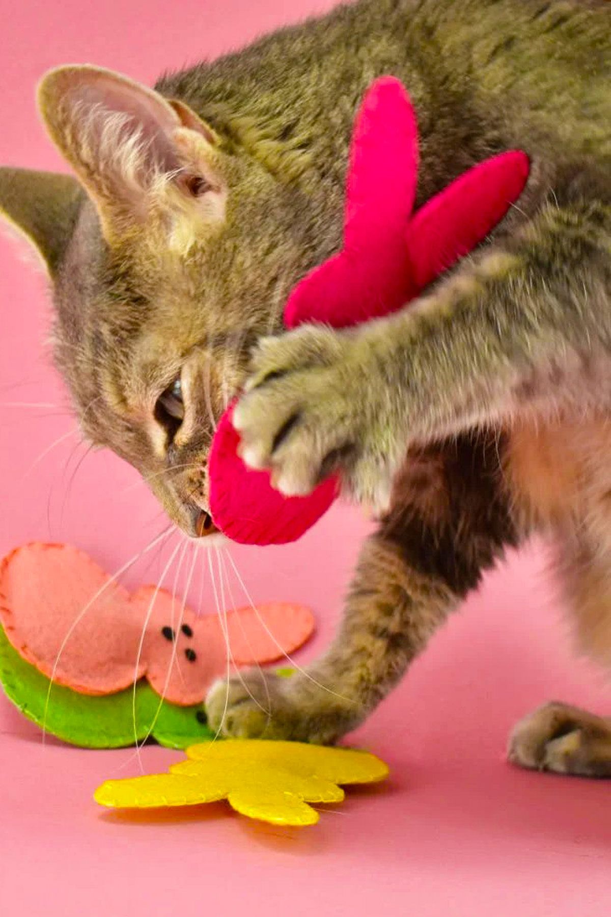 İnşirah Concept-Cat Mint Catnip Cat Toy Felt mouse Toy Mouse Game for Cats 8
