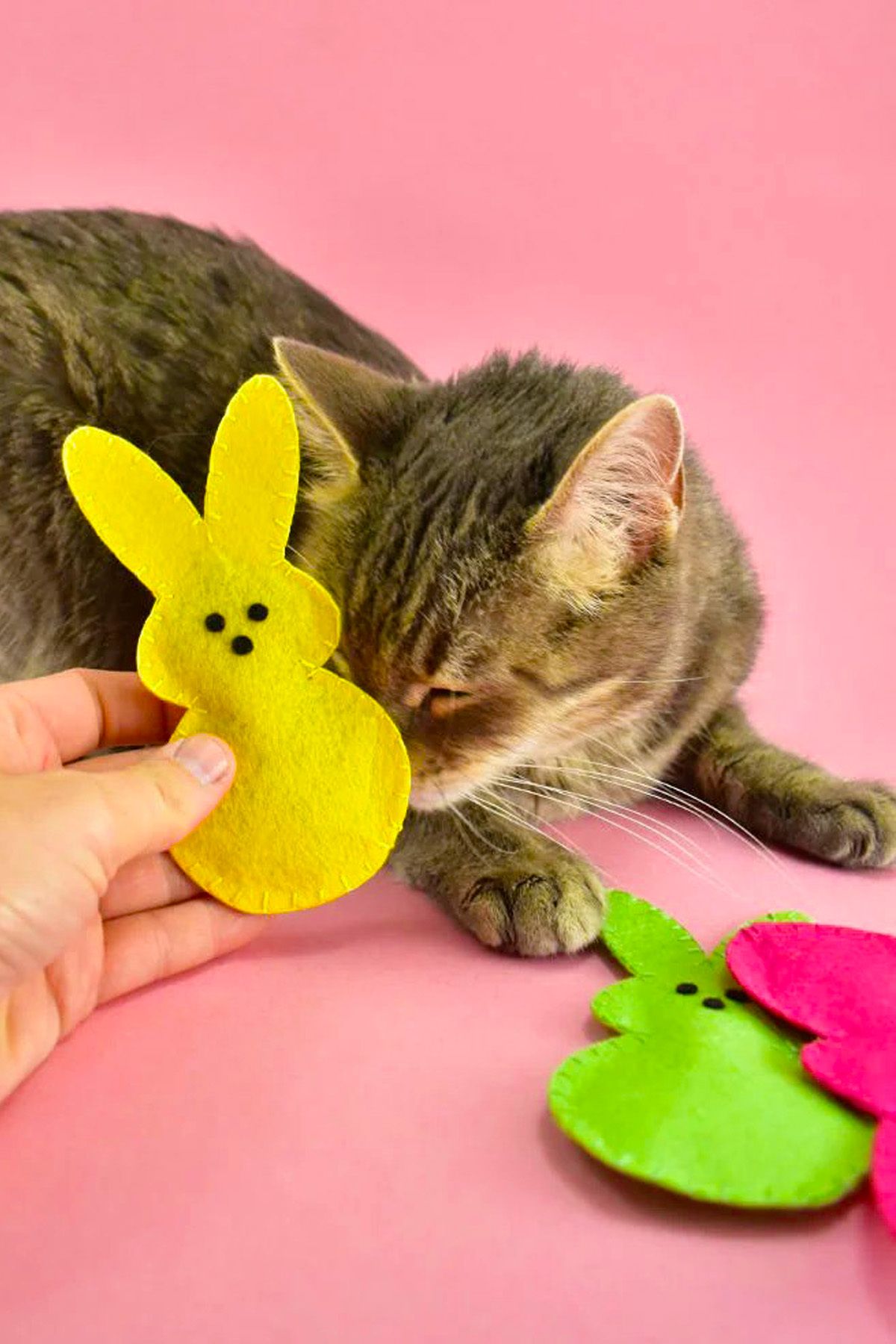 İnşirah Concept-Cat Mint Catnip Cat Toy Felt mouse Toy Mouse Game for Cats 6