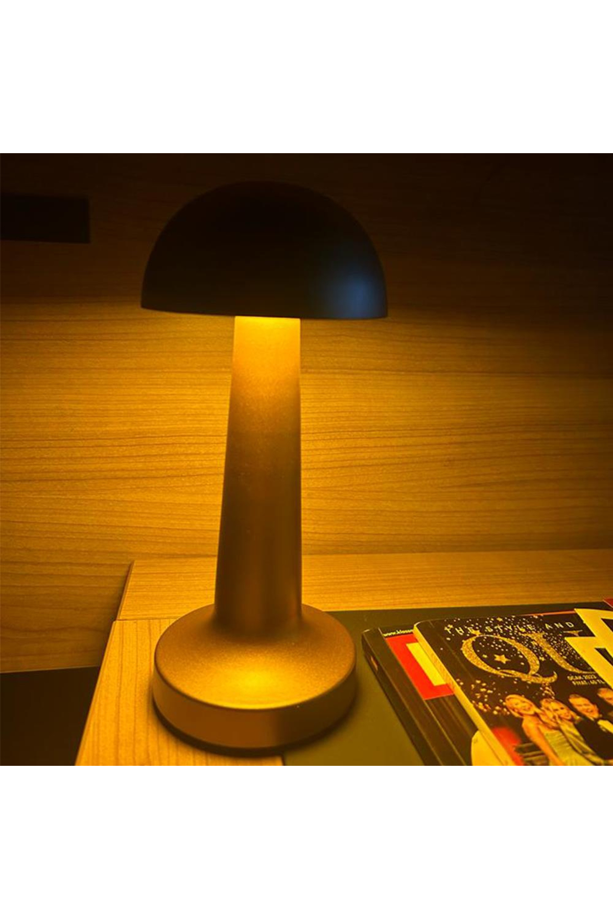 Touch Decorative Rechargeable LED Table Lamp
