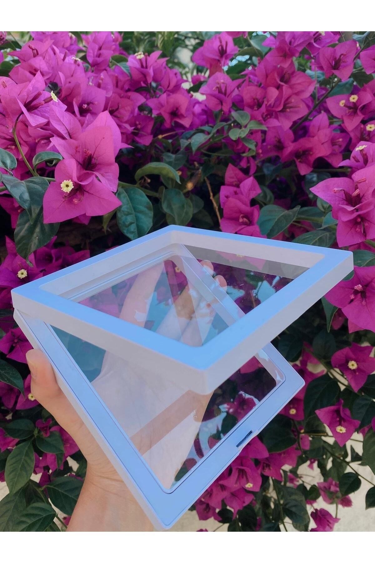 SWORDS CONCEPT-X Large 14X14X2 Three-Dimensional Multi-Purpose Accessory Box 5