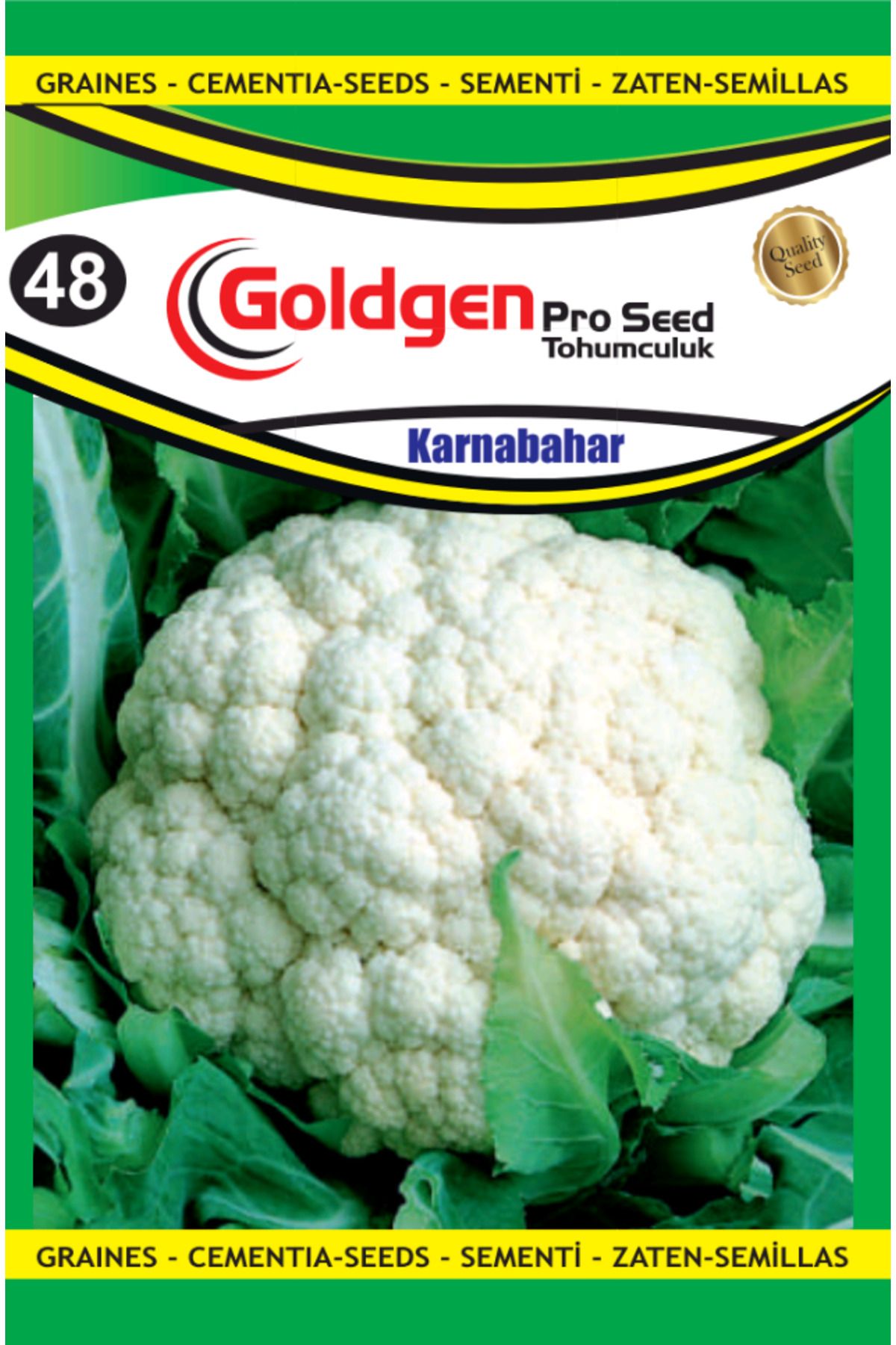 Karnıbahar Tohumu