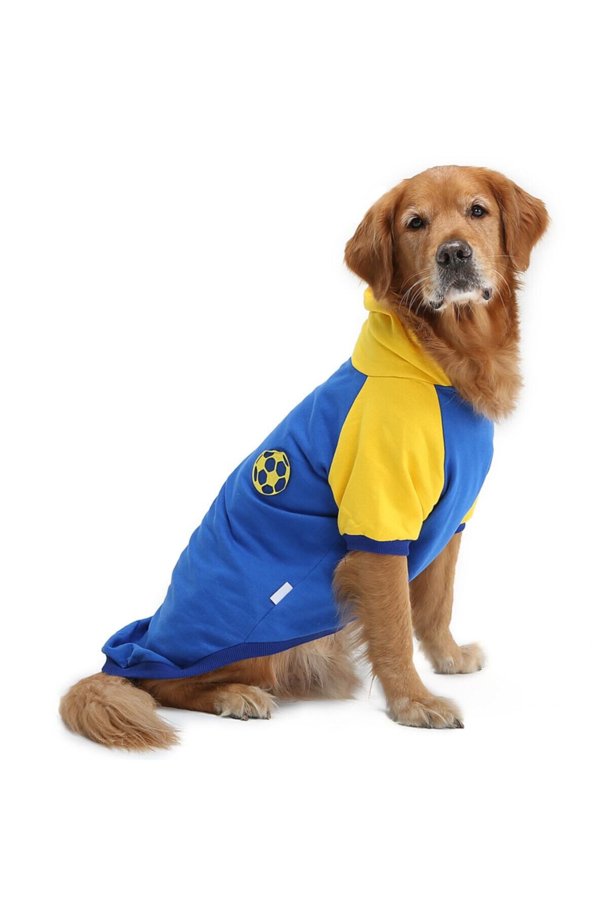 Büyük Irk Ball Navy Taraftar Köpek Sweati-köpek Kiyafeti-köpek Kiyafeti