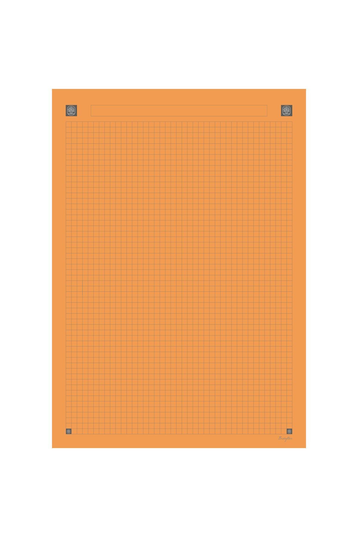 BİDEFTER-ورق مربعات بصري 10x5 ألوان - درجة واحدة 80 جرام. - مصبوغ في العجين من التصنيع 4