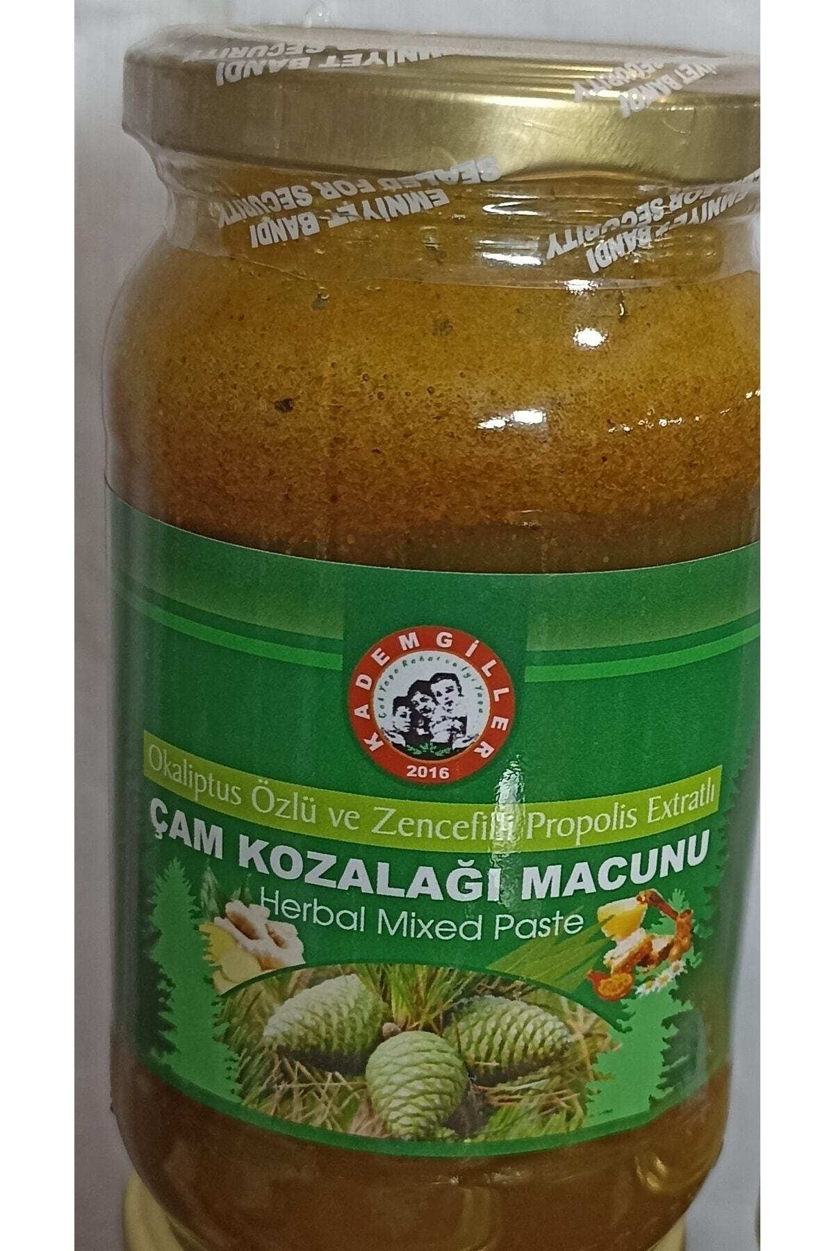 Çam Kozalağı Macunu