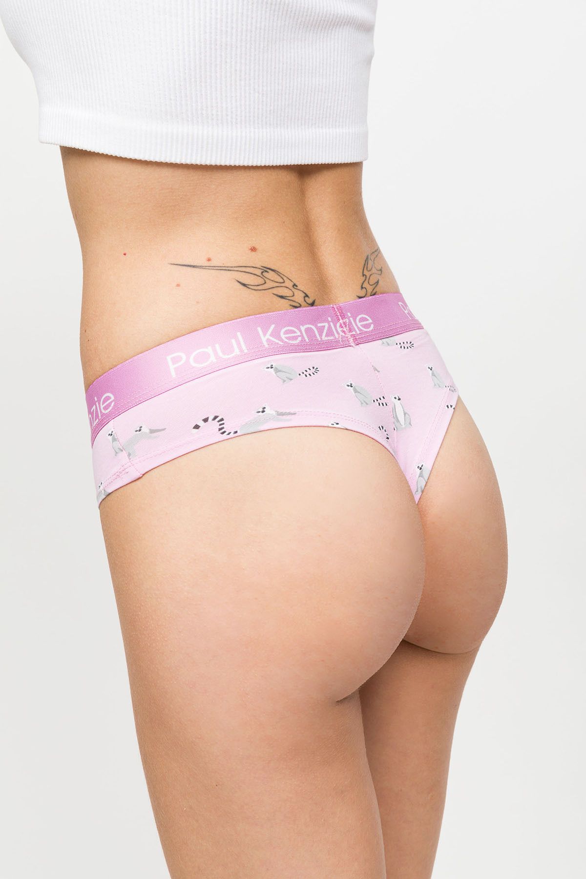 Paul Kenzie-Gemusterte Damen Cheeky Panties – Öko-Charaktere – Lemur 7