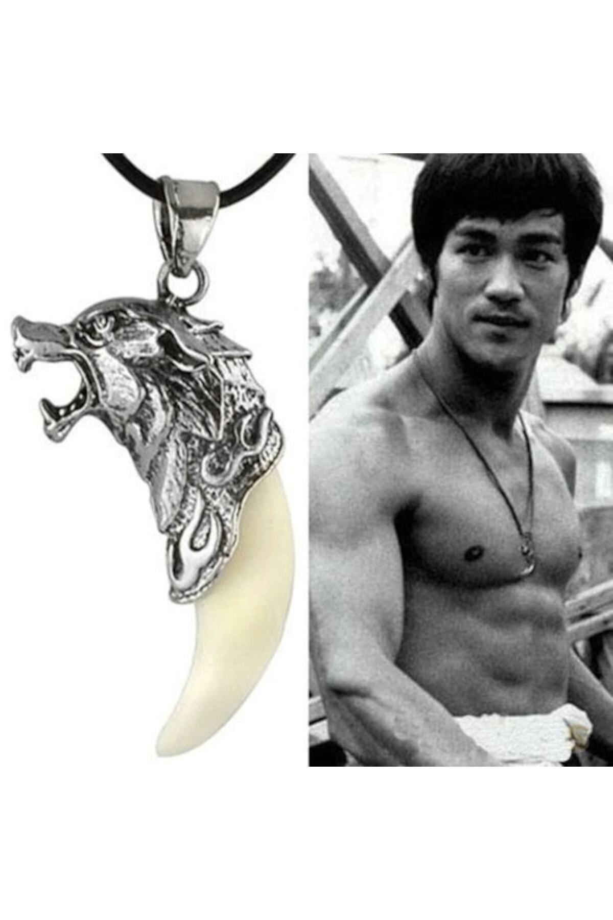 Modaadresiniz Bruce Lee Godness And Power Icon Titanium Steel Wolf Tooth Necklace Trendyol