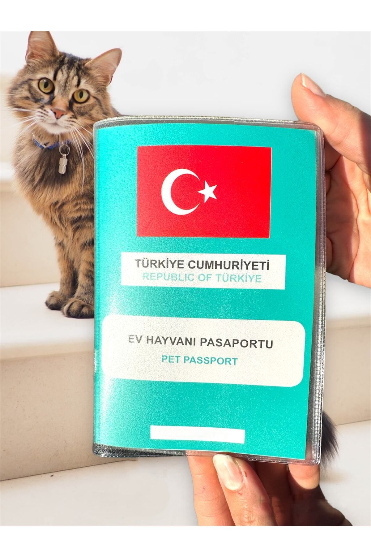 Cat passport best sale