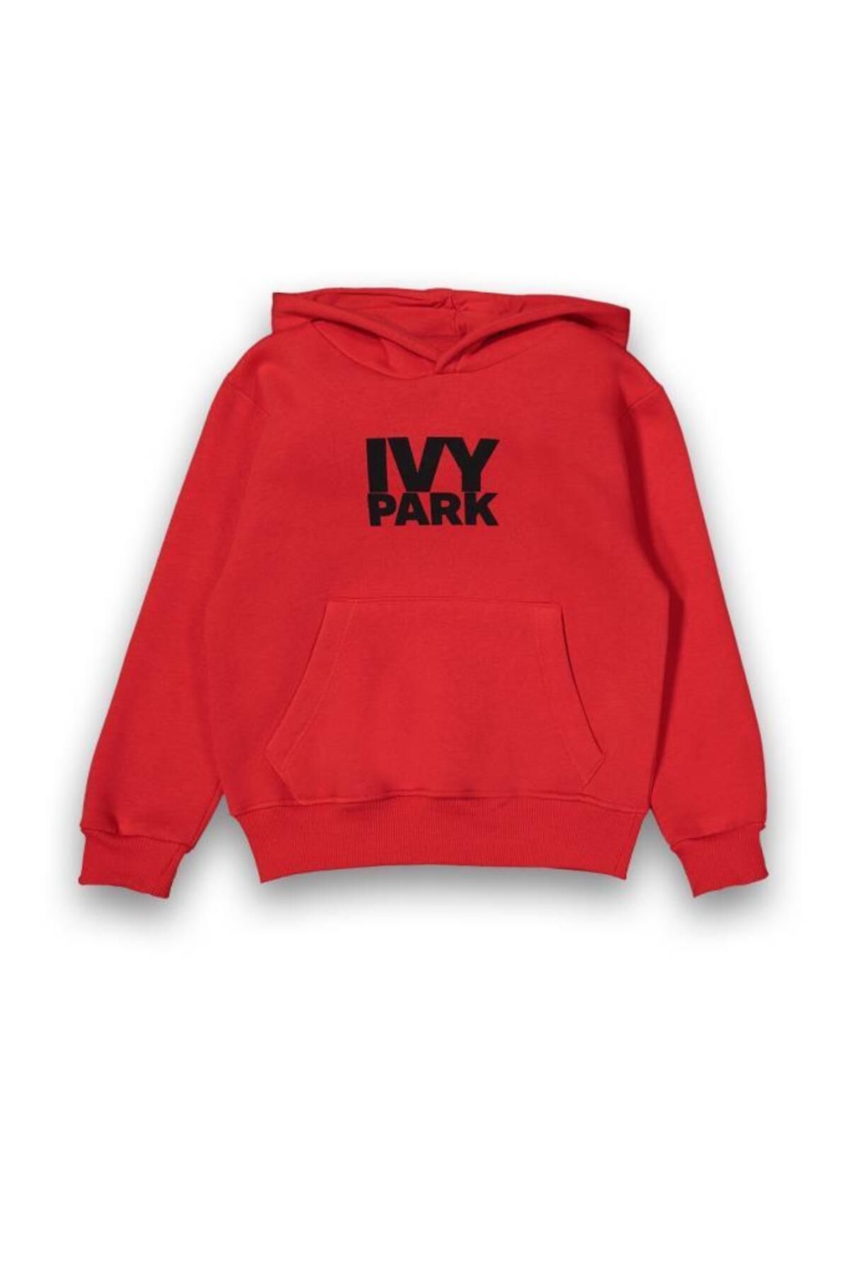 Ivy park outlet mens hoodie