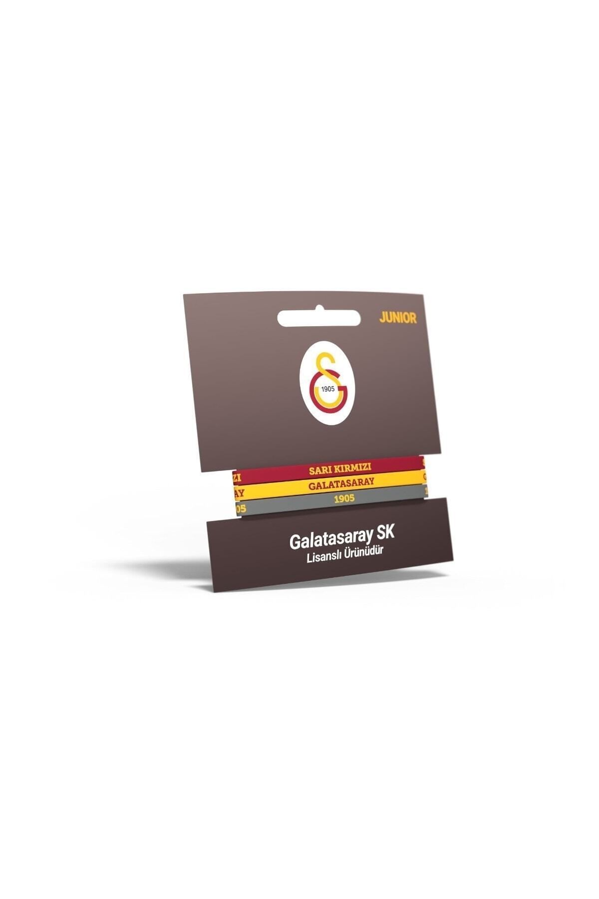 Galatasaray-سوار مرخص 6
