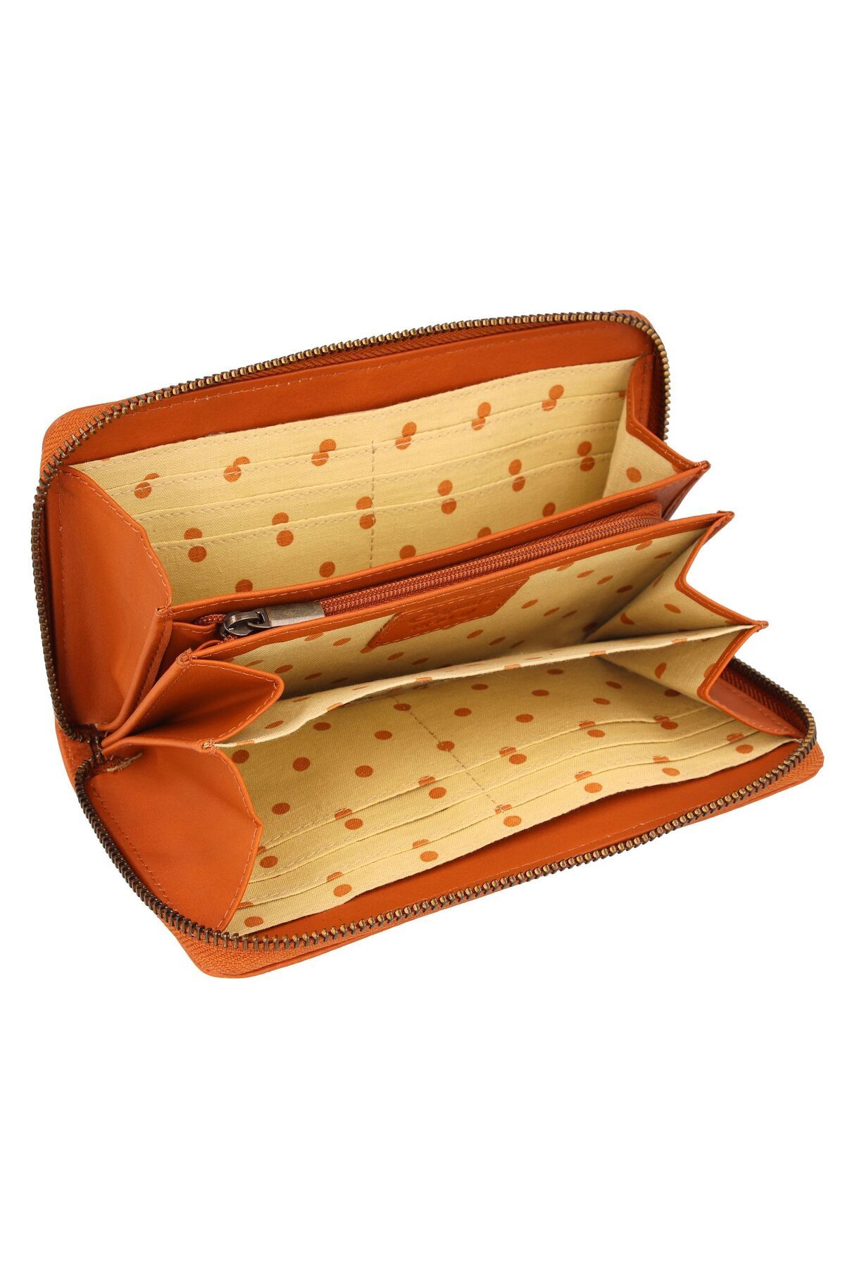 Esquire-Peru Geldbörse RFID Leder 19 cm 5