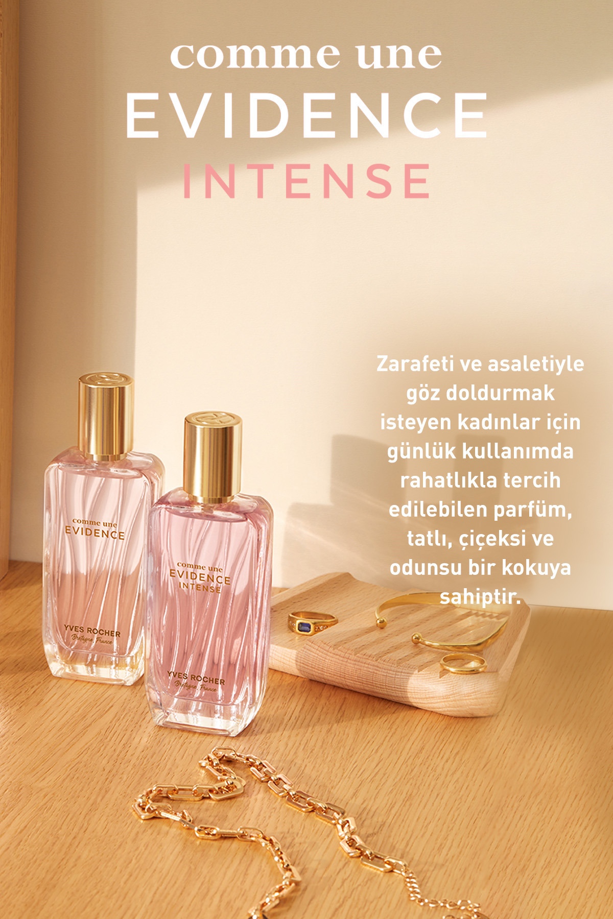 Эвиденс интенс