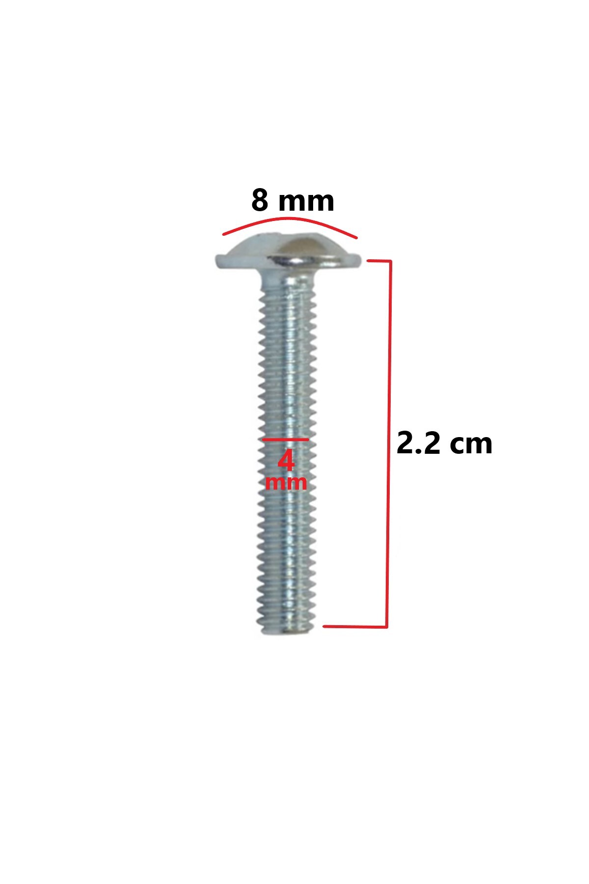 ŞENEL Yapı Market Mobilya Dolap Kapak Kulp Vidası Metrik Vida 4x22 mm 20 Adet