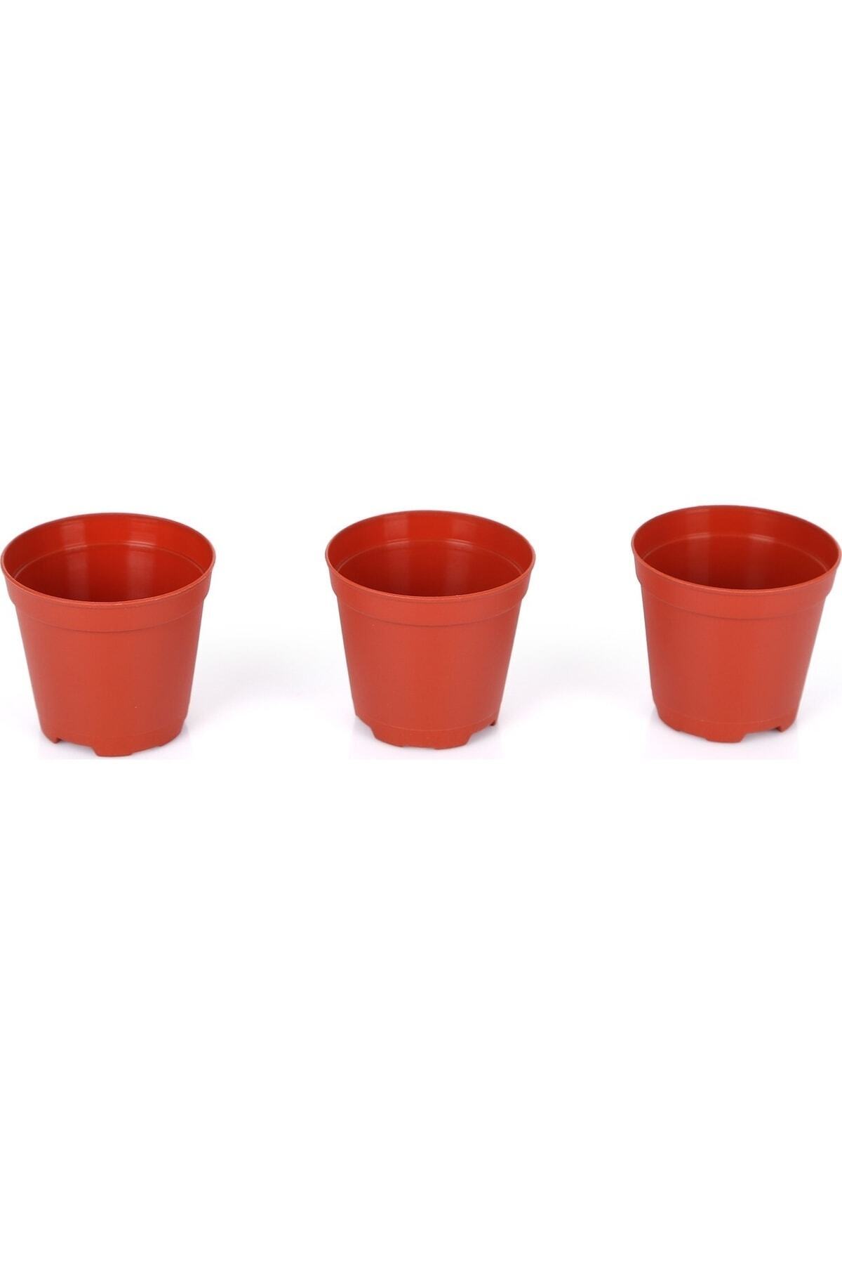 50 Pieces 5.5 Cm Production Pot