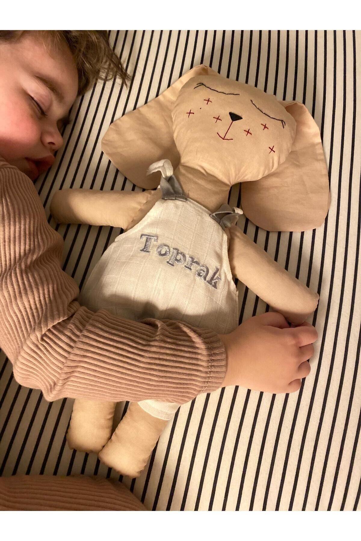 Named Embroidery Embroidered Sleep Companion