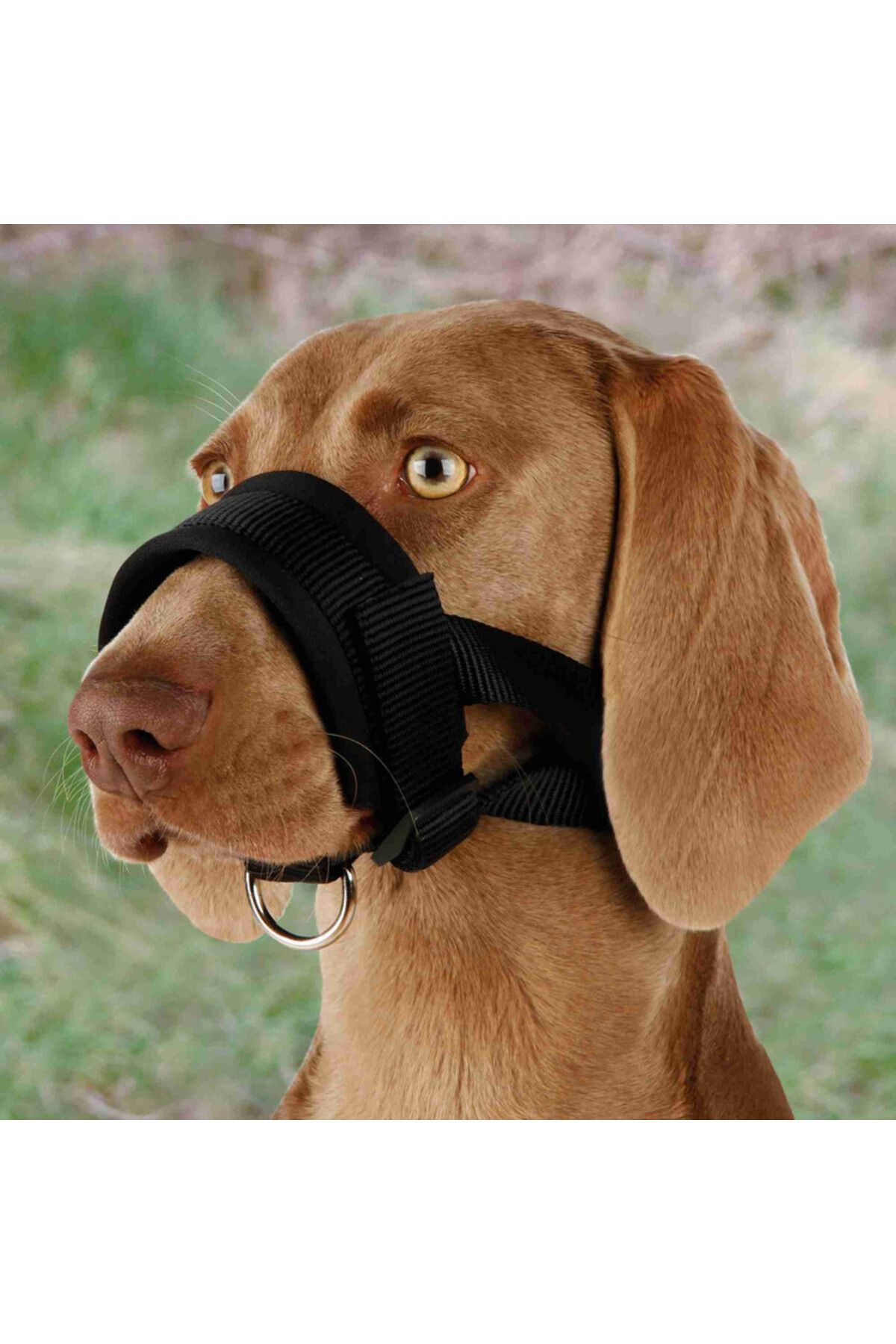 Pet muzzles top