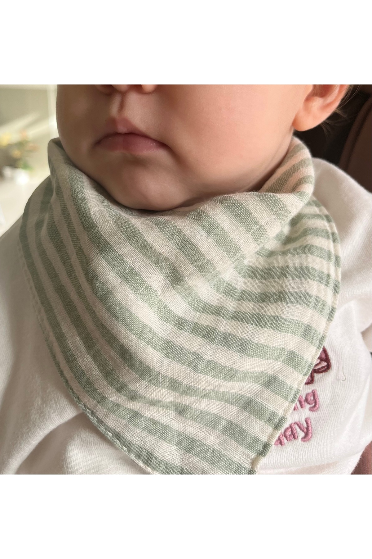 runbaby Çift Katlı Müslin Kumaş I?ki Çıtçıtlı Bebek Salya Önlük & Fular (YEŞİL ÇİZGİLİ)