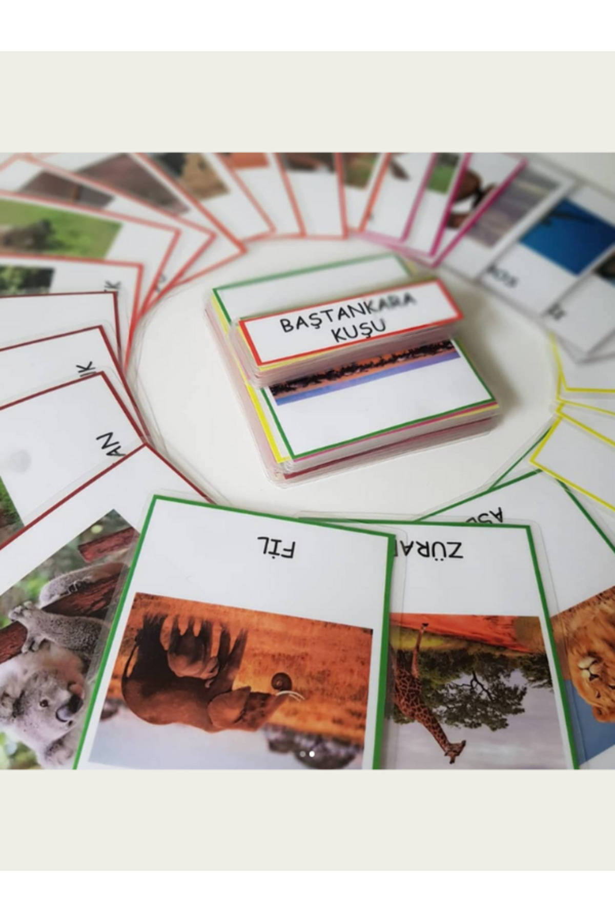 Ada Montessori Kıtalar ve Hayvanları 3 Aşamalı Kart fotoğrafı 2 (önizleme)