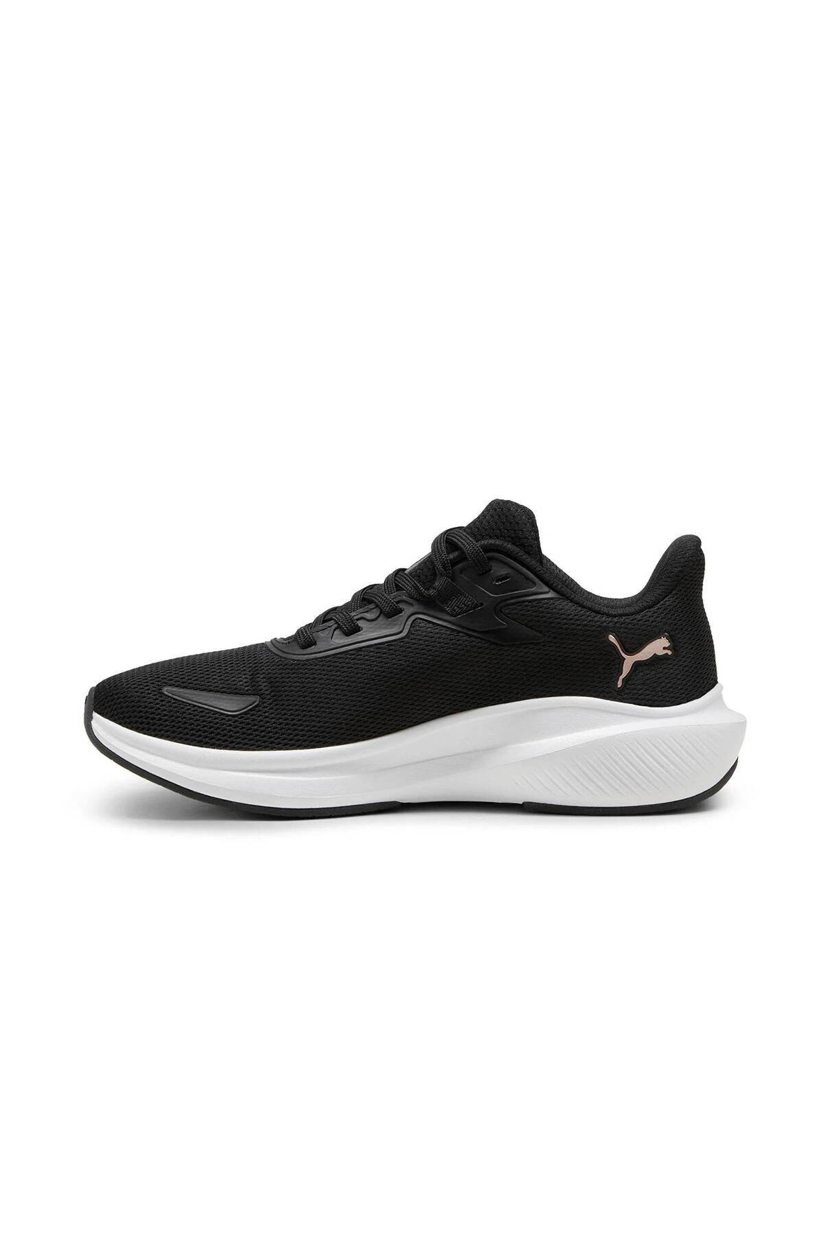 Puma 14 sale