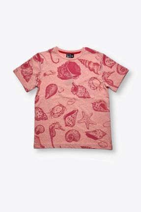 Deniz Kabuğu Baskılı Kız Çocuk Pembemelanj T-shirt CL0133040
