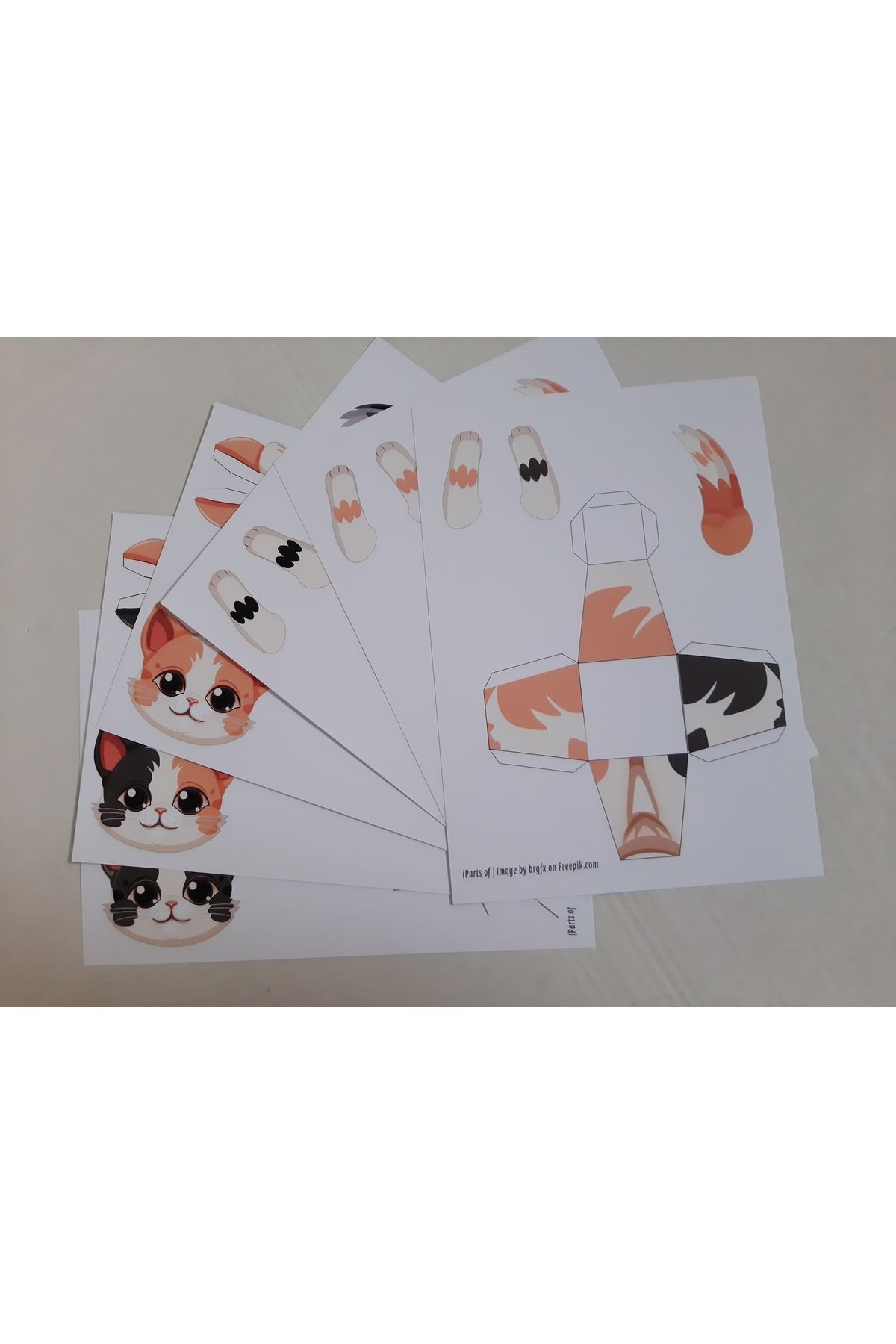 EL YAPIMI-Psacraft School Project 3D Cat Model Hand Skill Cut Paste Kids Play Set 3