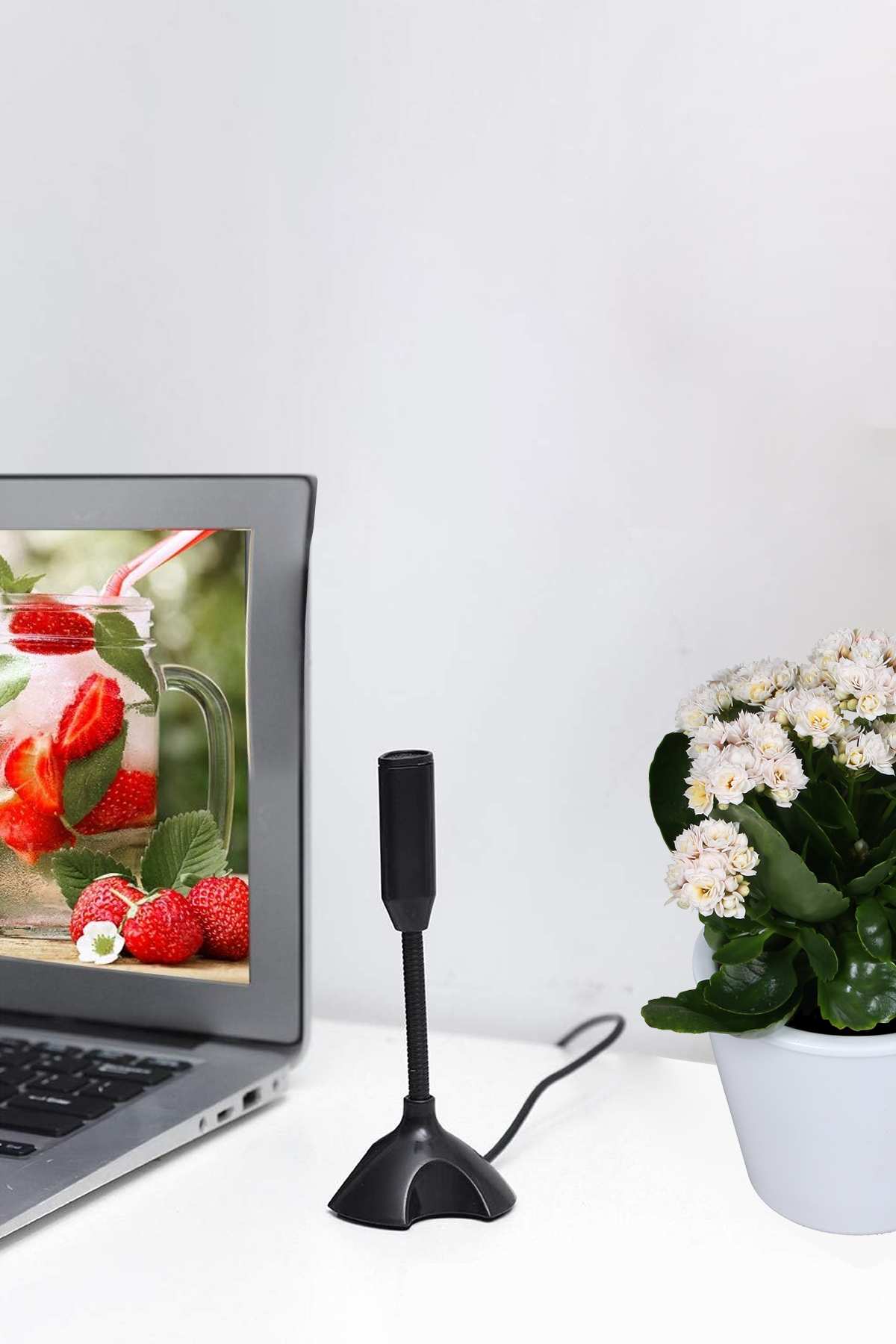 ThenTech Dizüstü Bilgisayar Uyumlu Video Konferans Kullanımı İçin Profesyonel Mikrofon