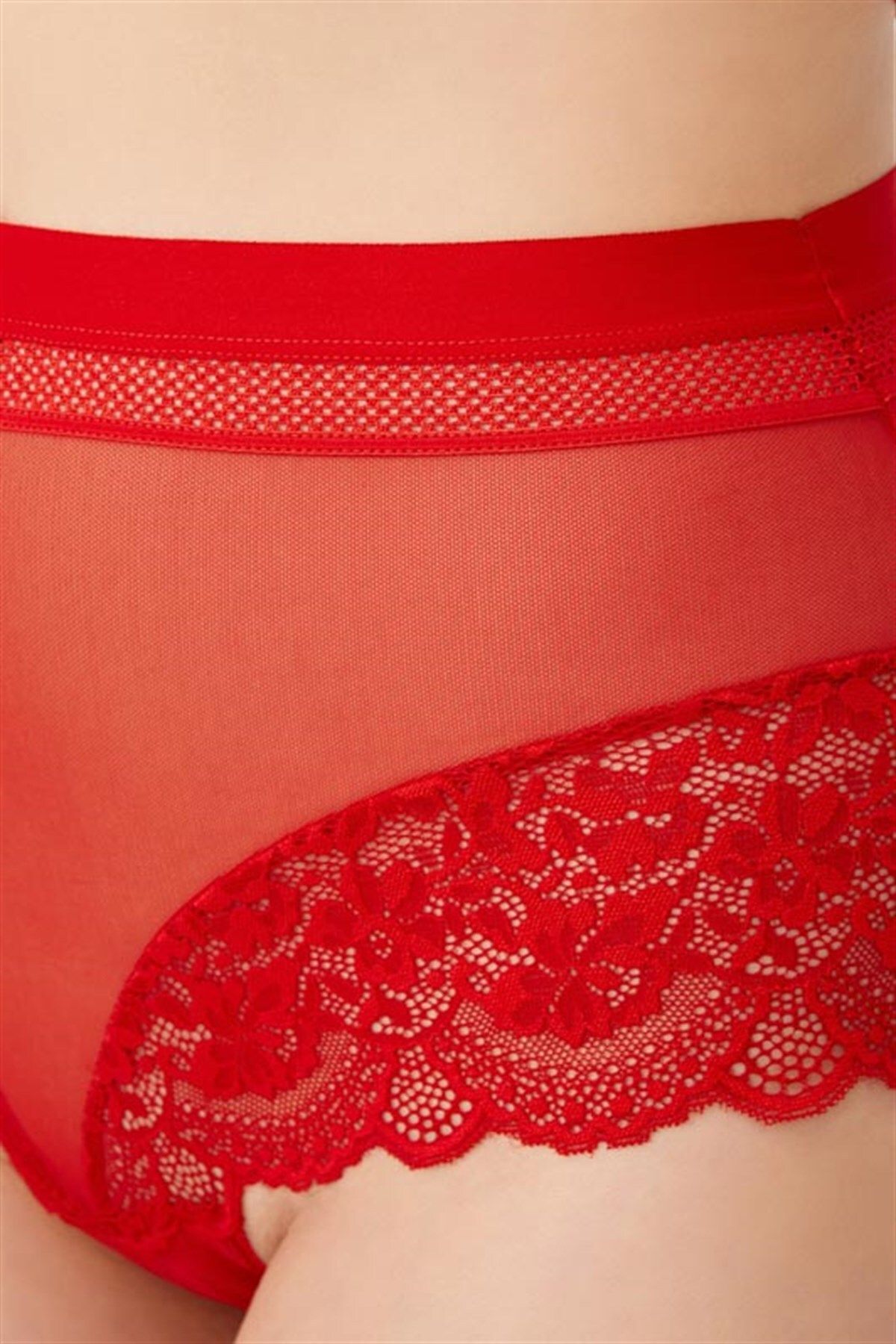 Lace Big Size Women Bikini Panty with Transparent Back CH6053 - Cottonhill  - Wholesale B2B - The SHOwP