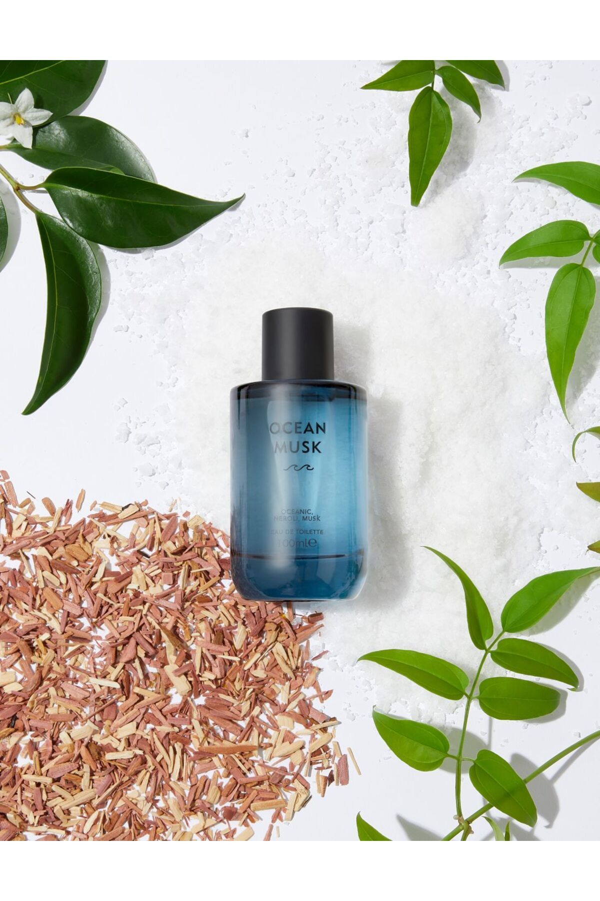 Туалетная вода Marks & Spencer Ocean Musk 30 мл T22000890D