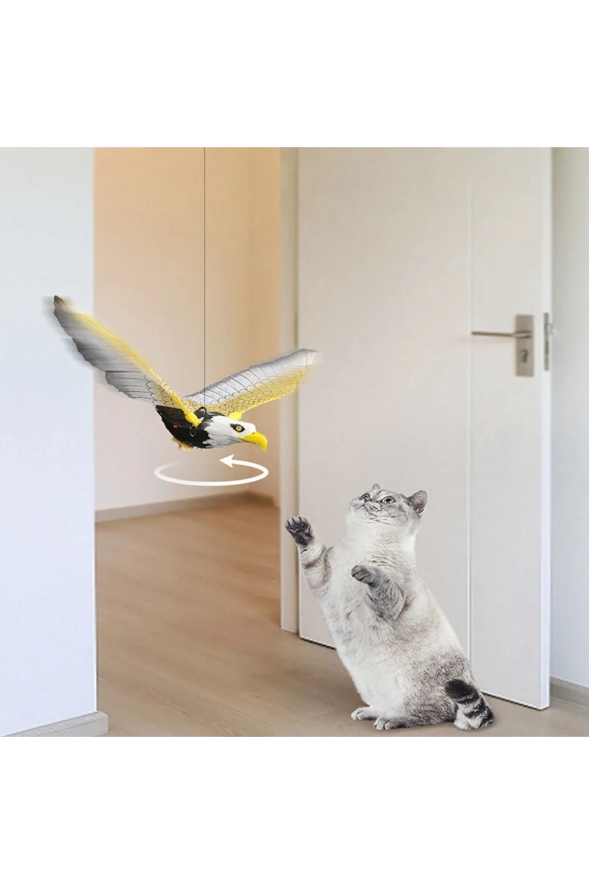Hovering bird cat toy shop