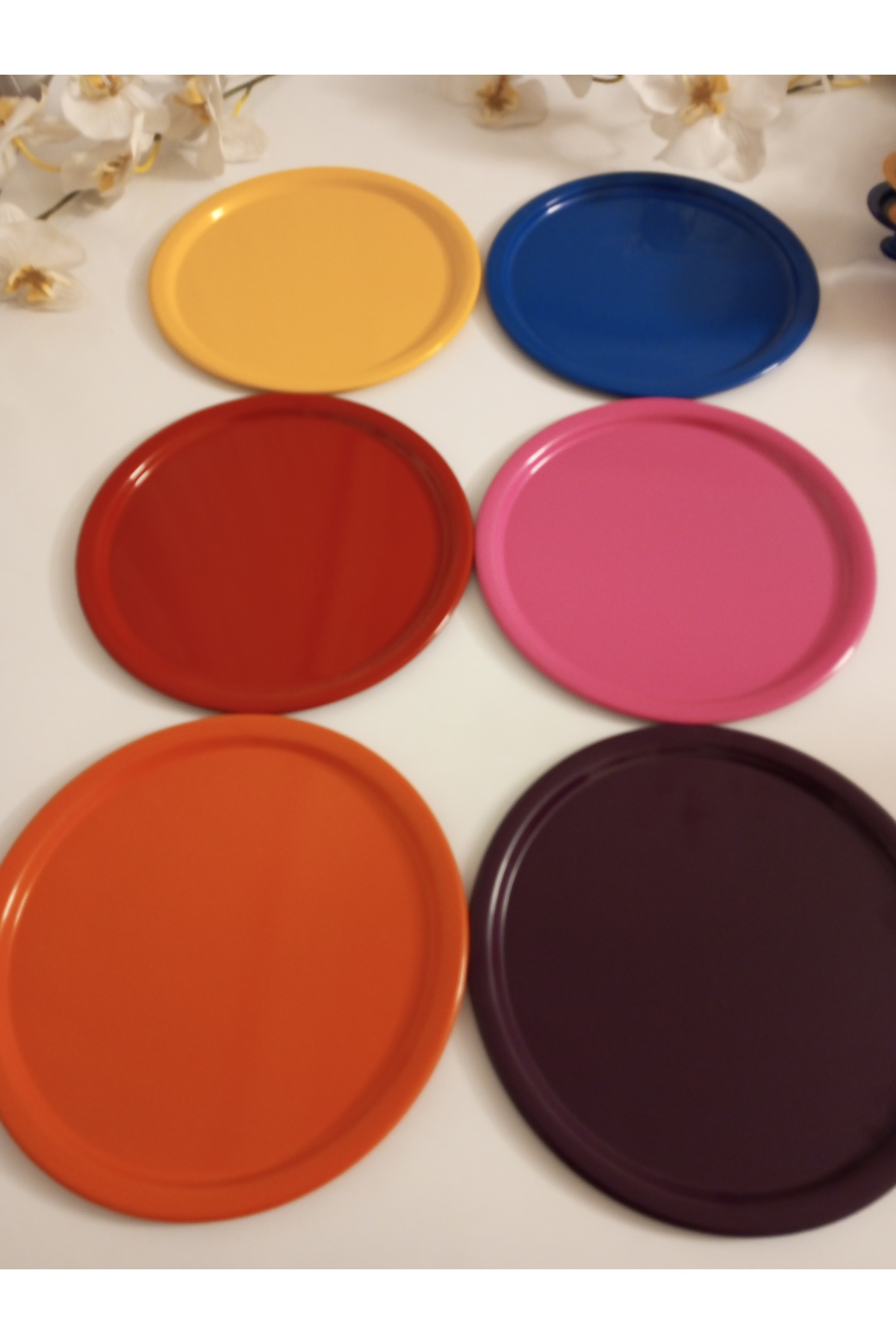 6 x color presentation trays