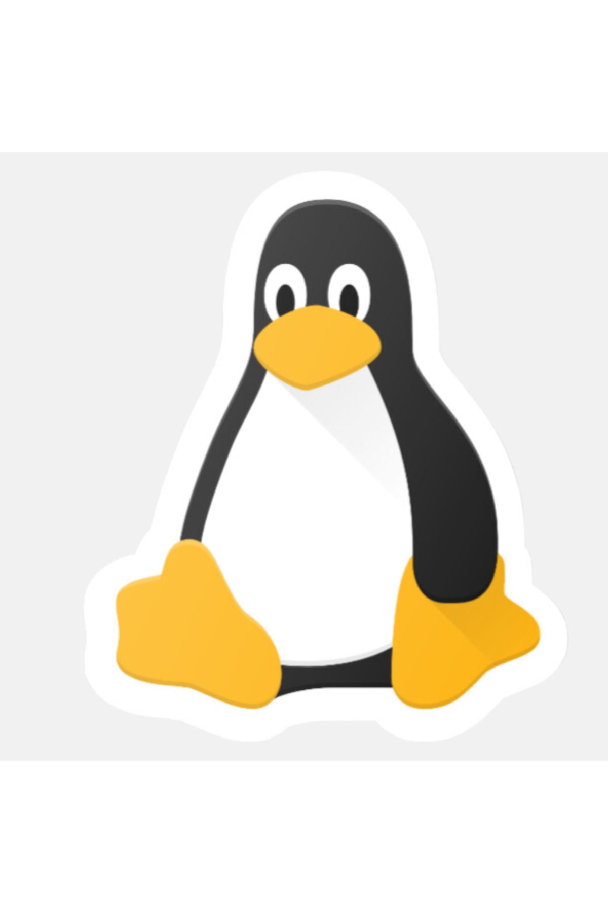 YAPIŞKAN STORE-Software Sticker LINUX - 1 Piece 3