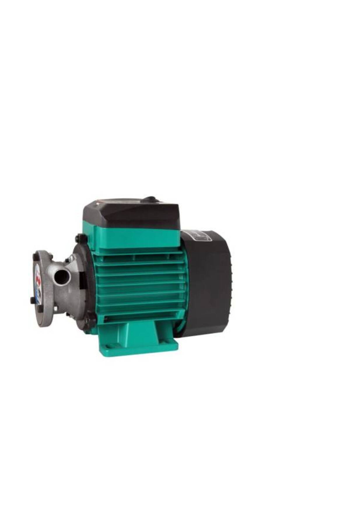 220VOLT YAĞ MAZOT AKTARMA POMPASI SIVI AKTARMA POMPASI 1LİK 32MM 2