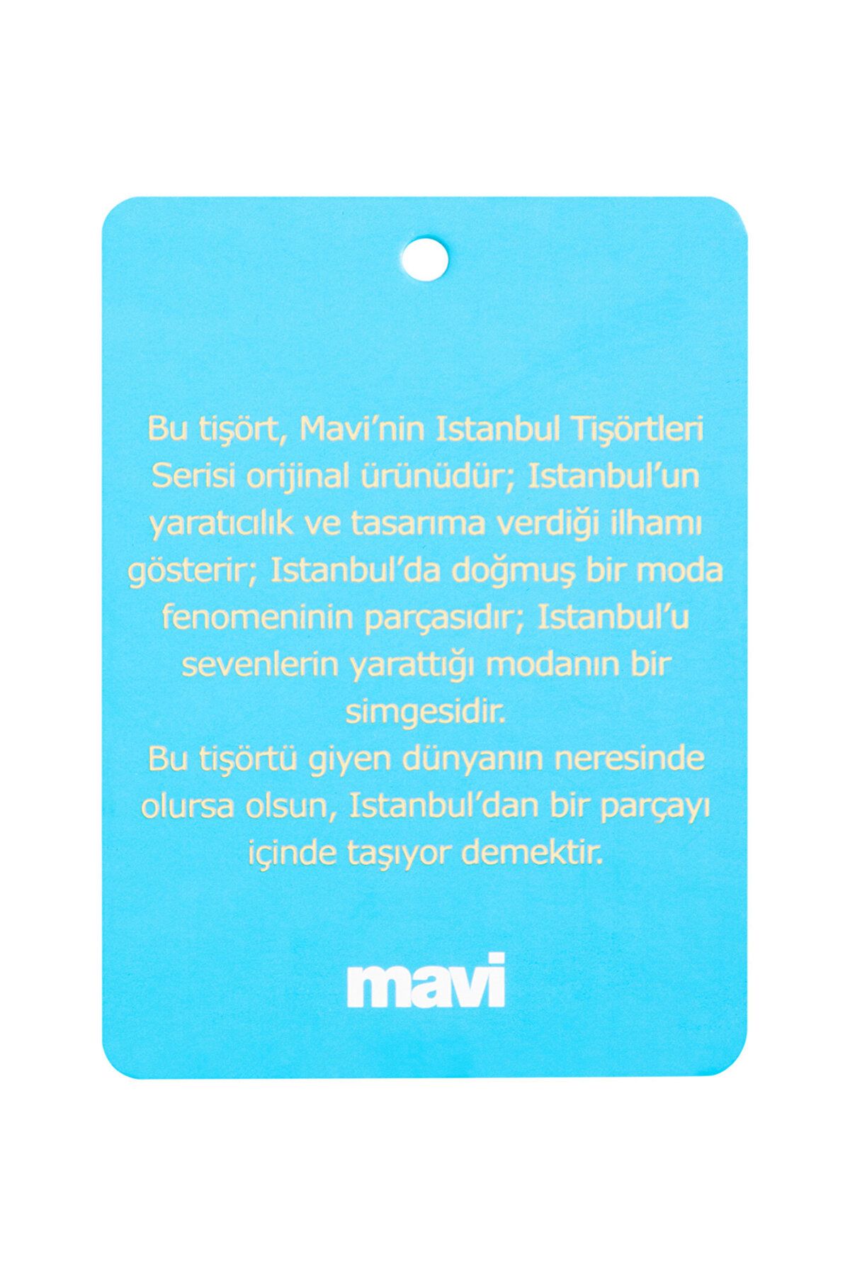 Mavi-Istanbul Printed Red T-Shirt Regular Fit / Normal Cut 067115-35686 8